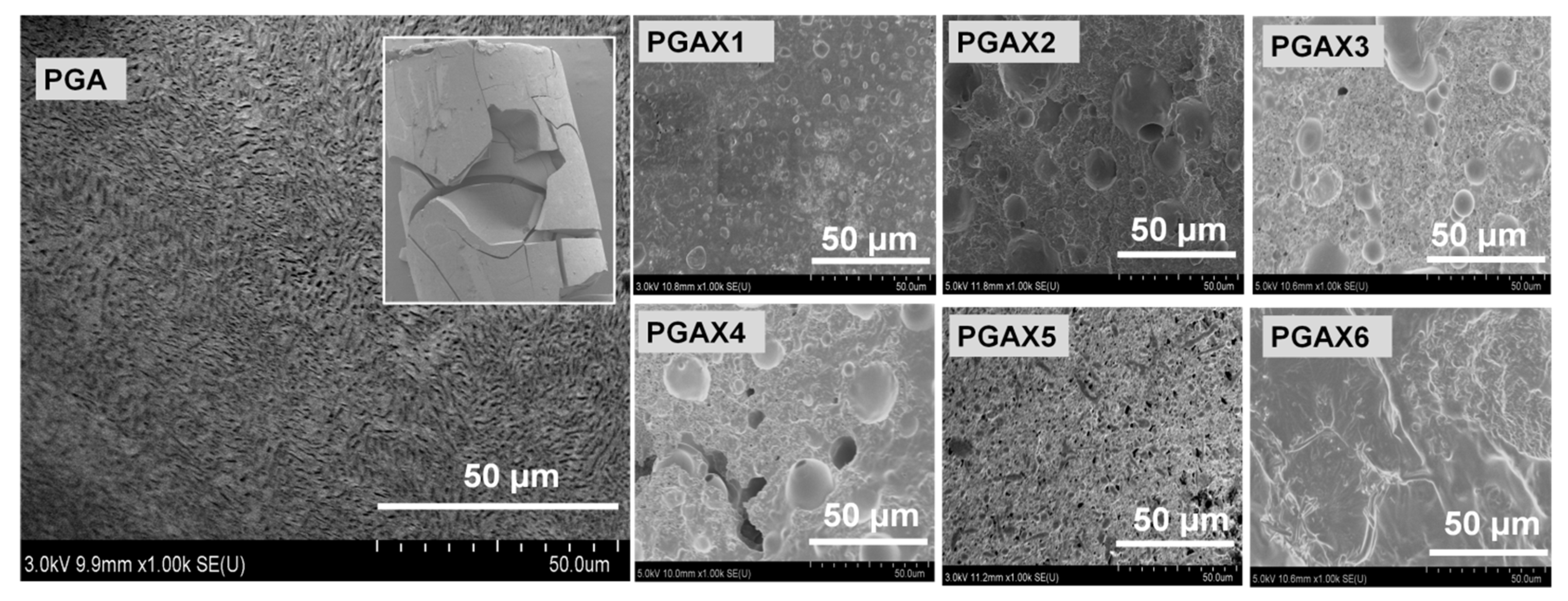 Polymers 14 03375 g010