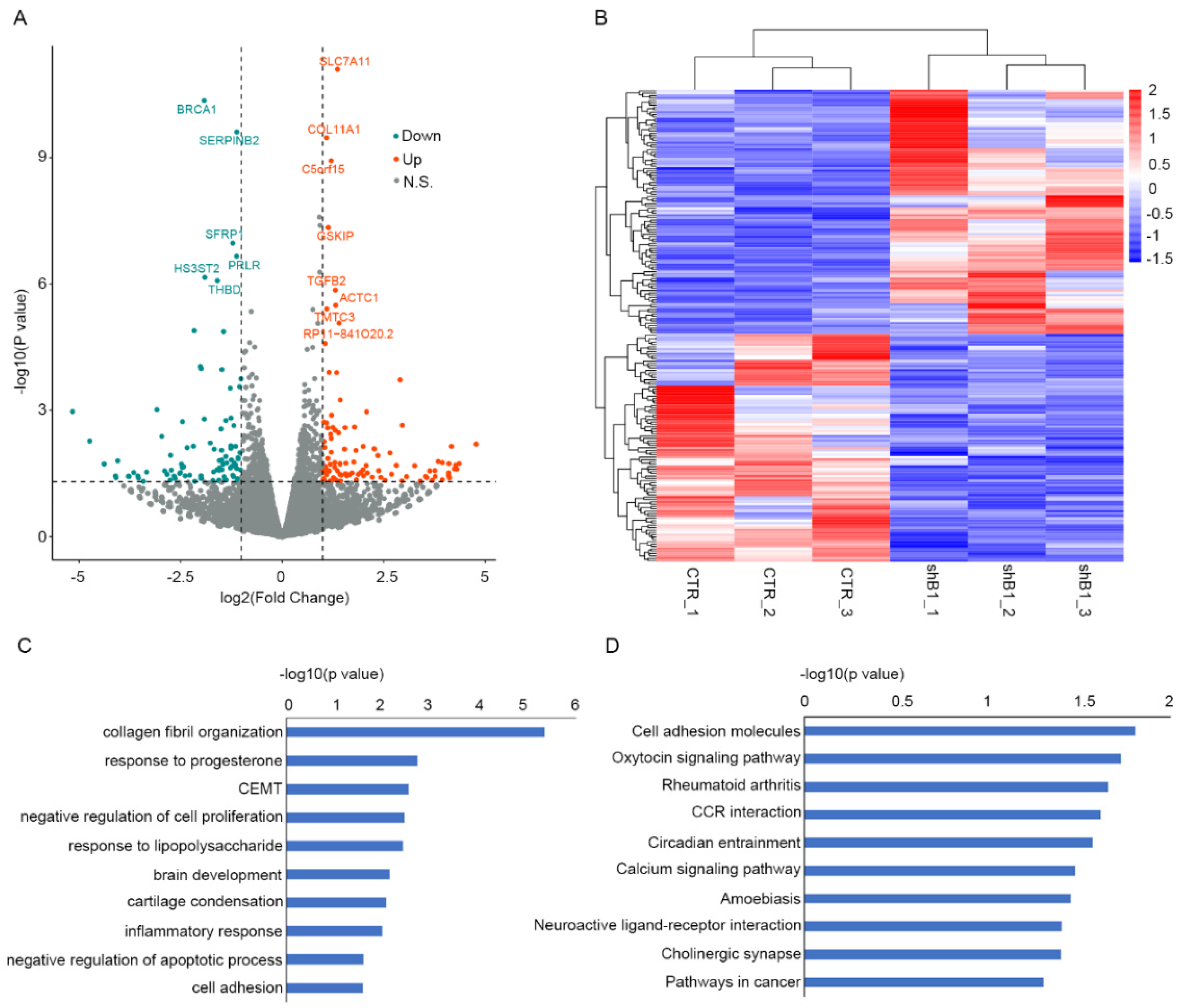 Polymers 14 03391 g004