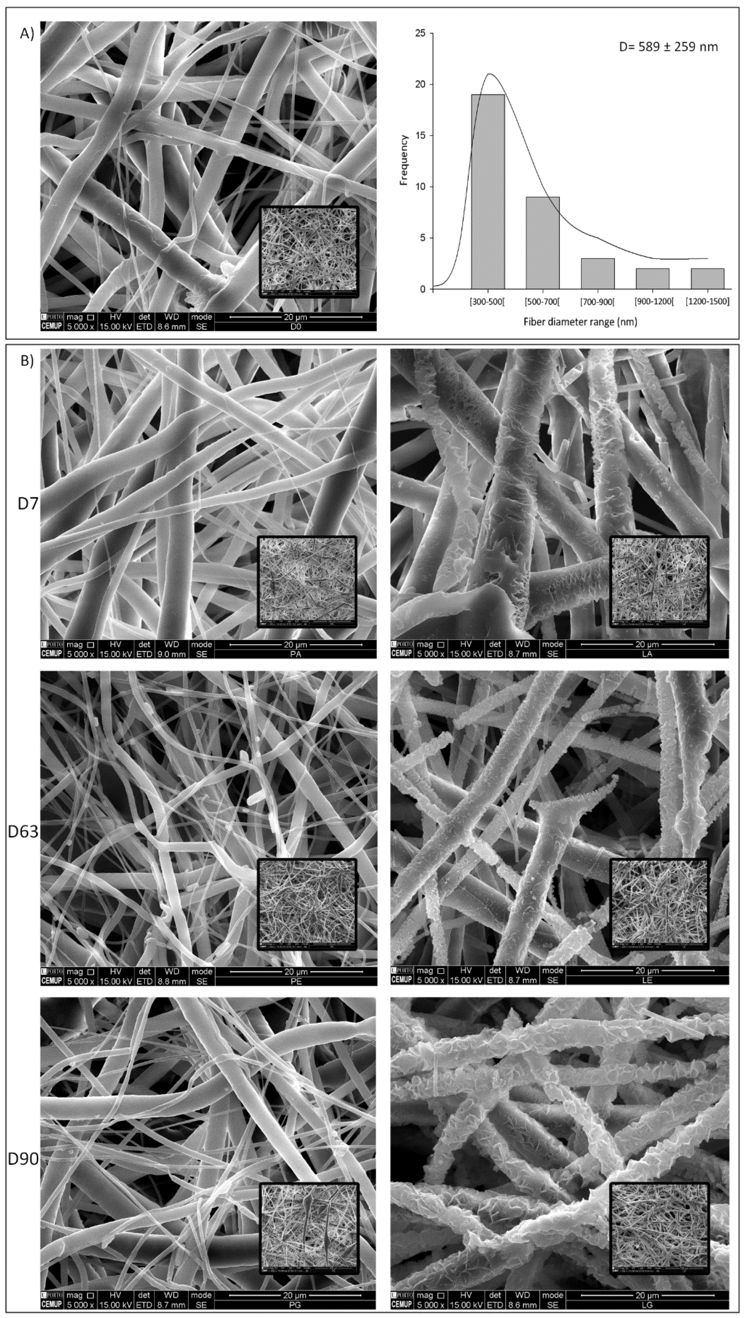 Polymers | Free Full-Text | Electrospun Polycaprolactone (PCL) Degradation:  An In Vitro and In Vivo Study