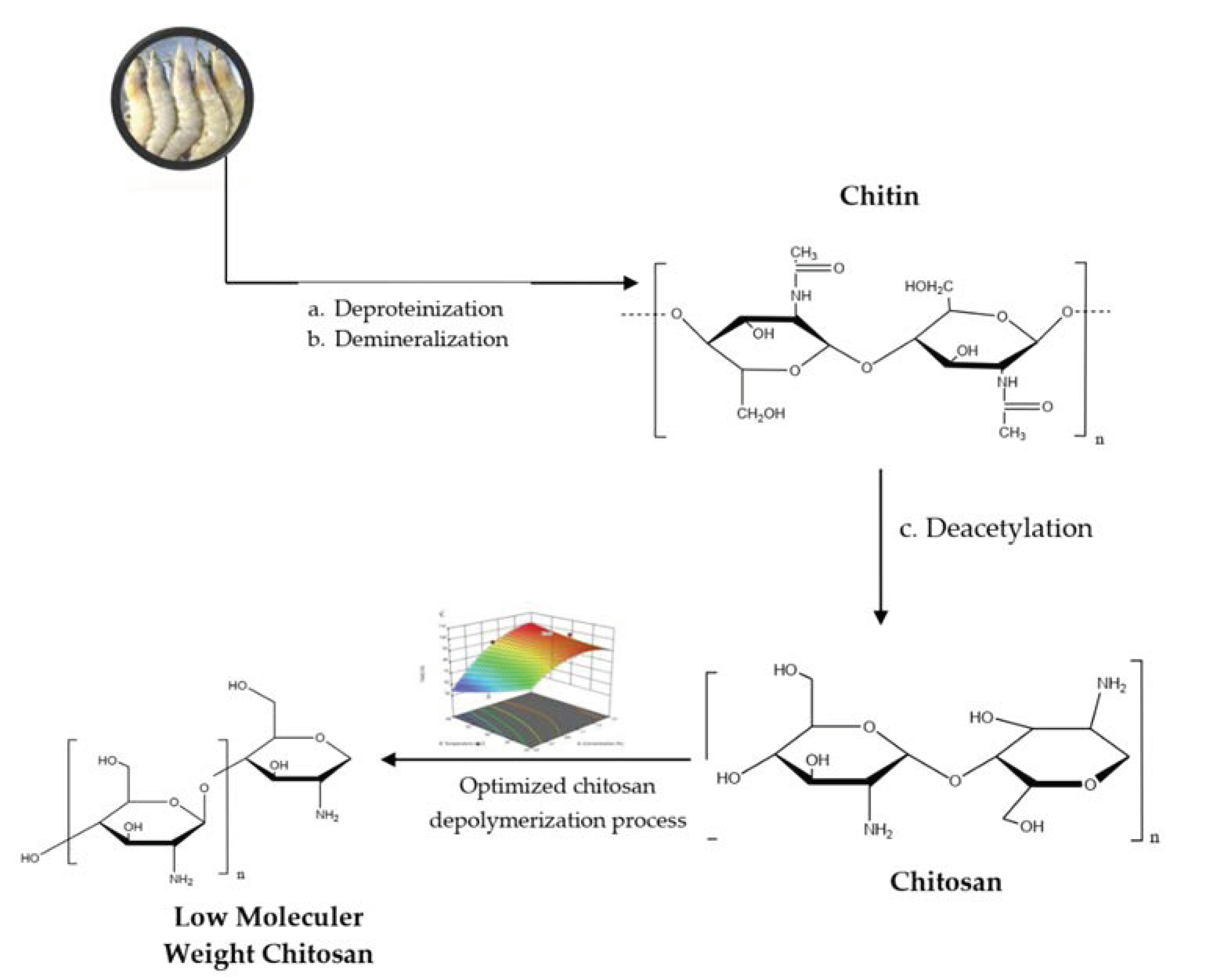 Polymers 14 03417 g001