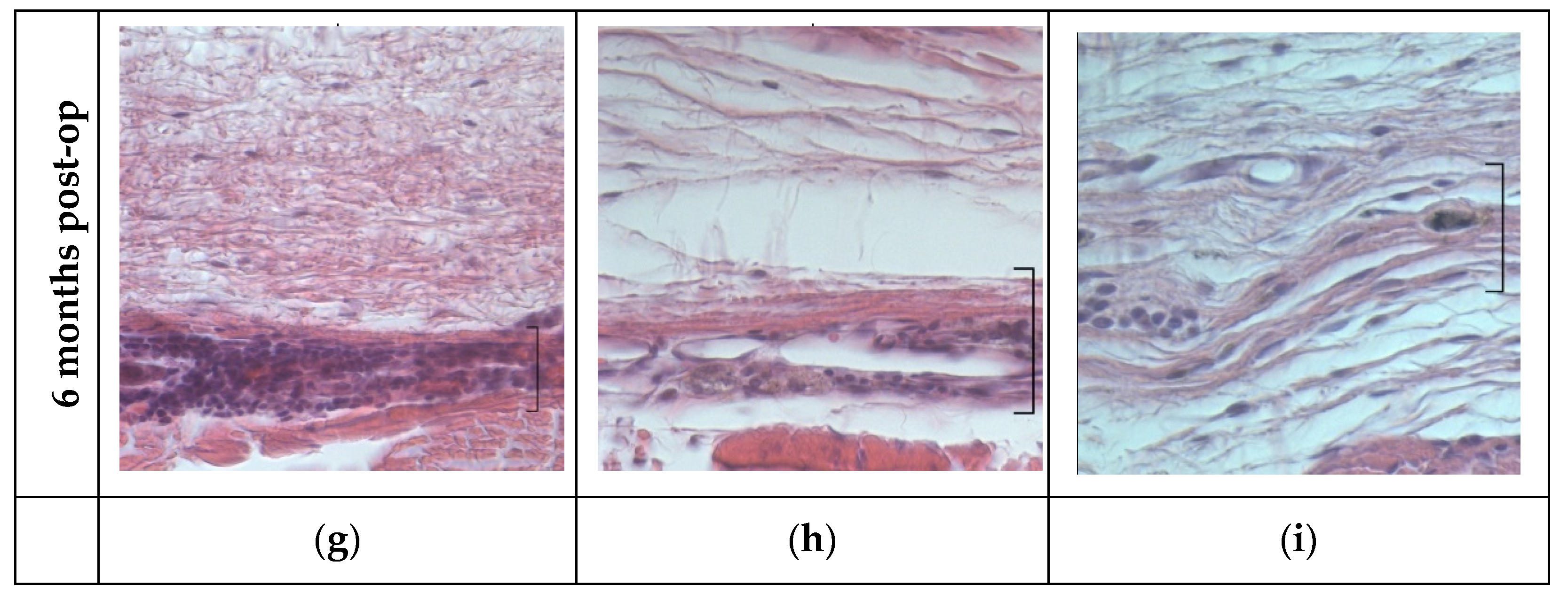 Polymers 14 03419 g013b