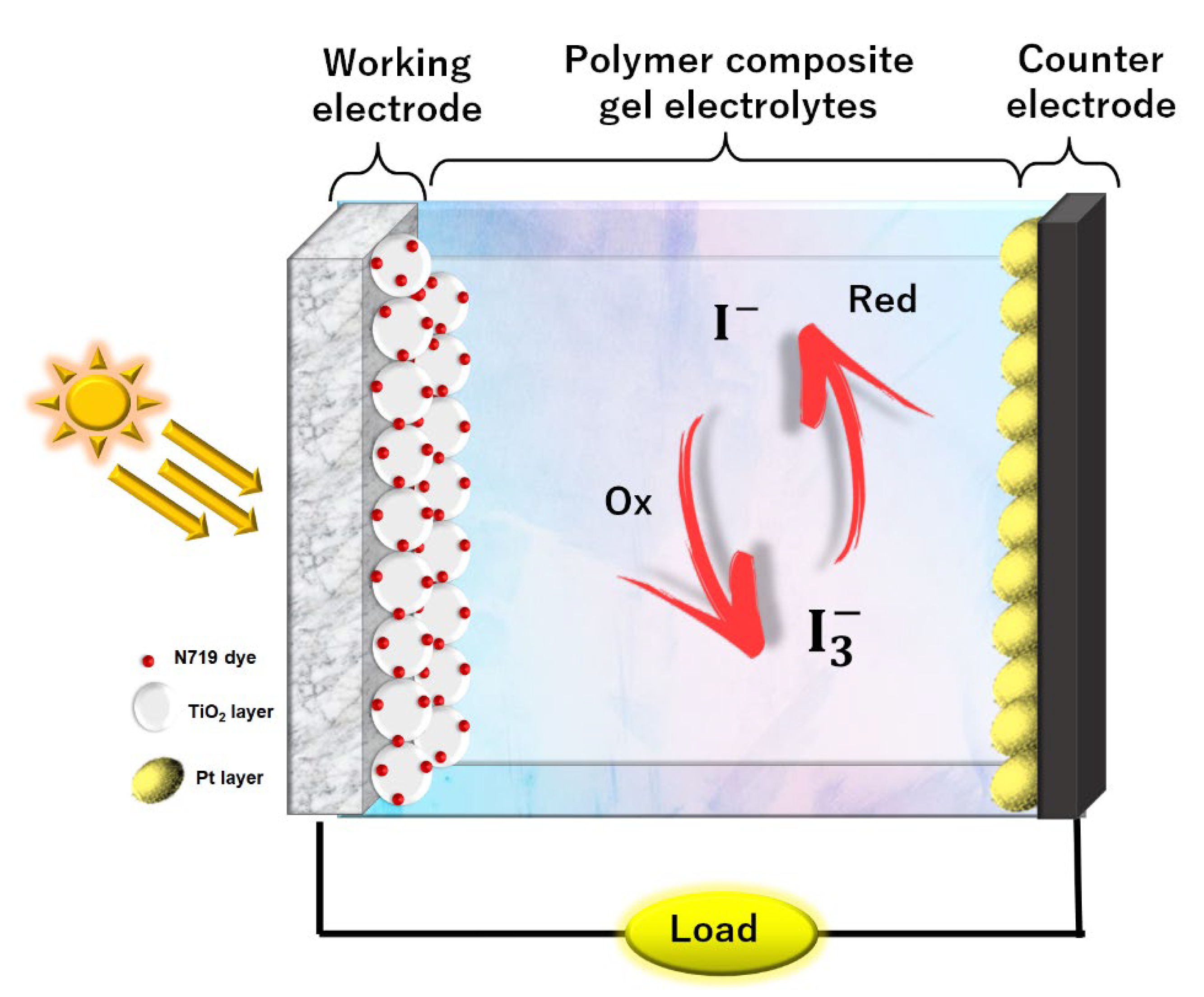 Polymers 14 03426 g001