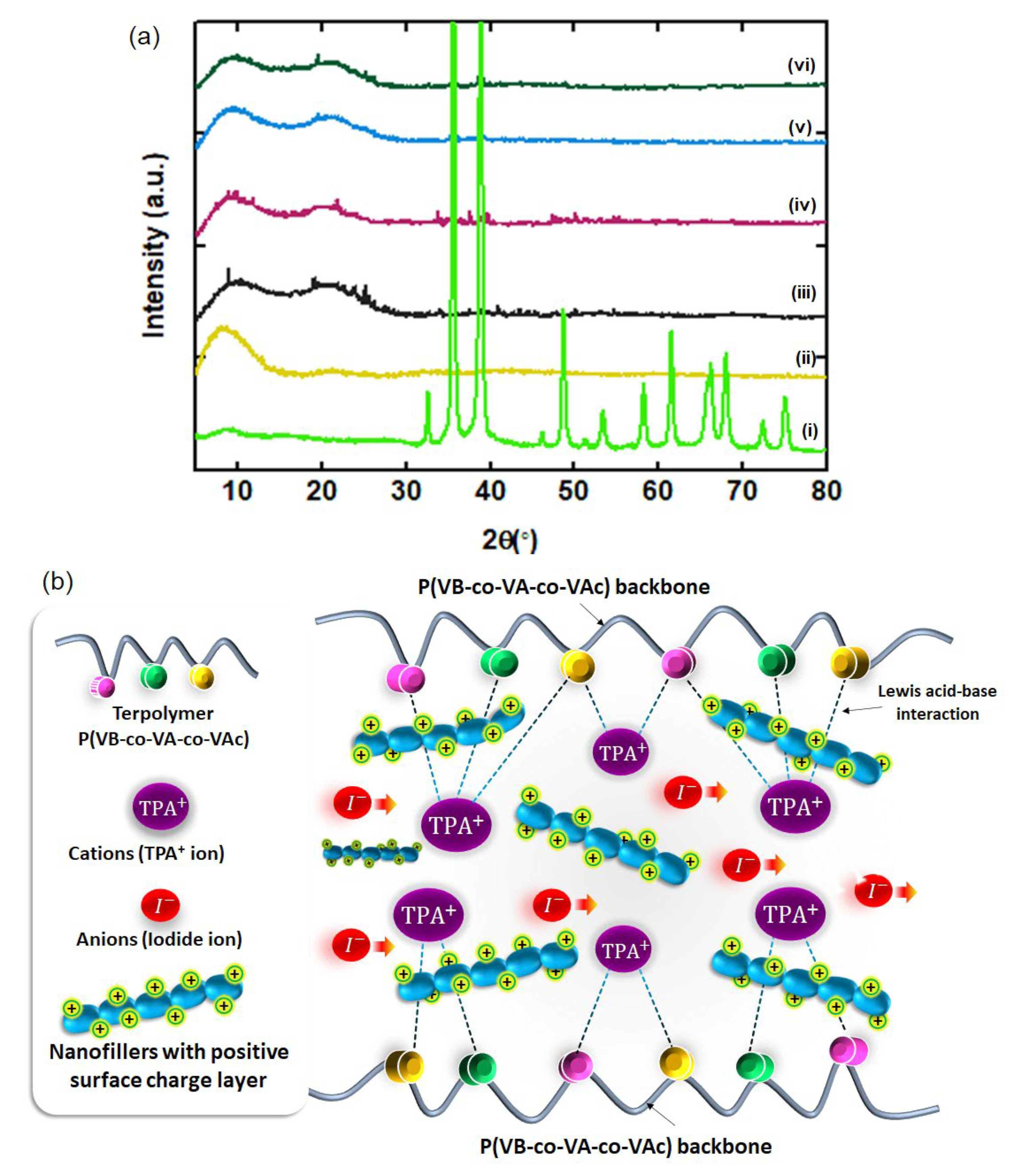 Polymers 14 03426 g002