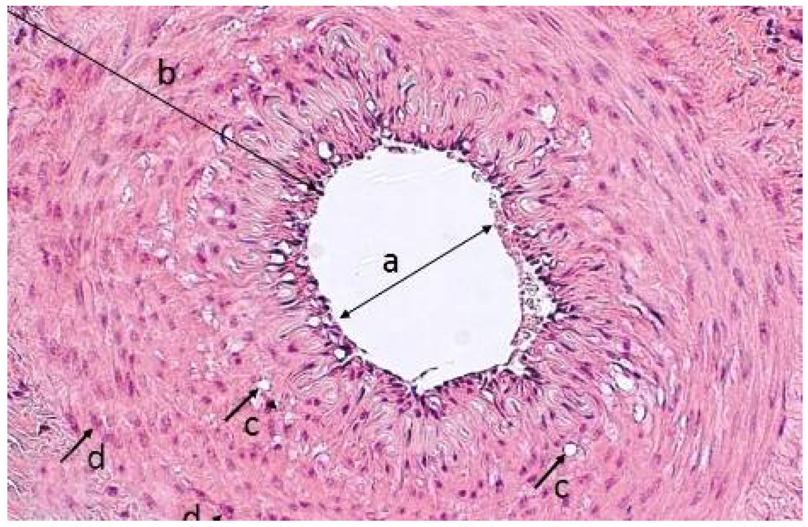 Polymers 14 03431 g006