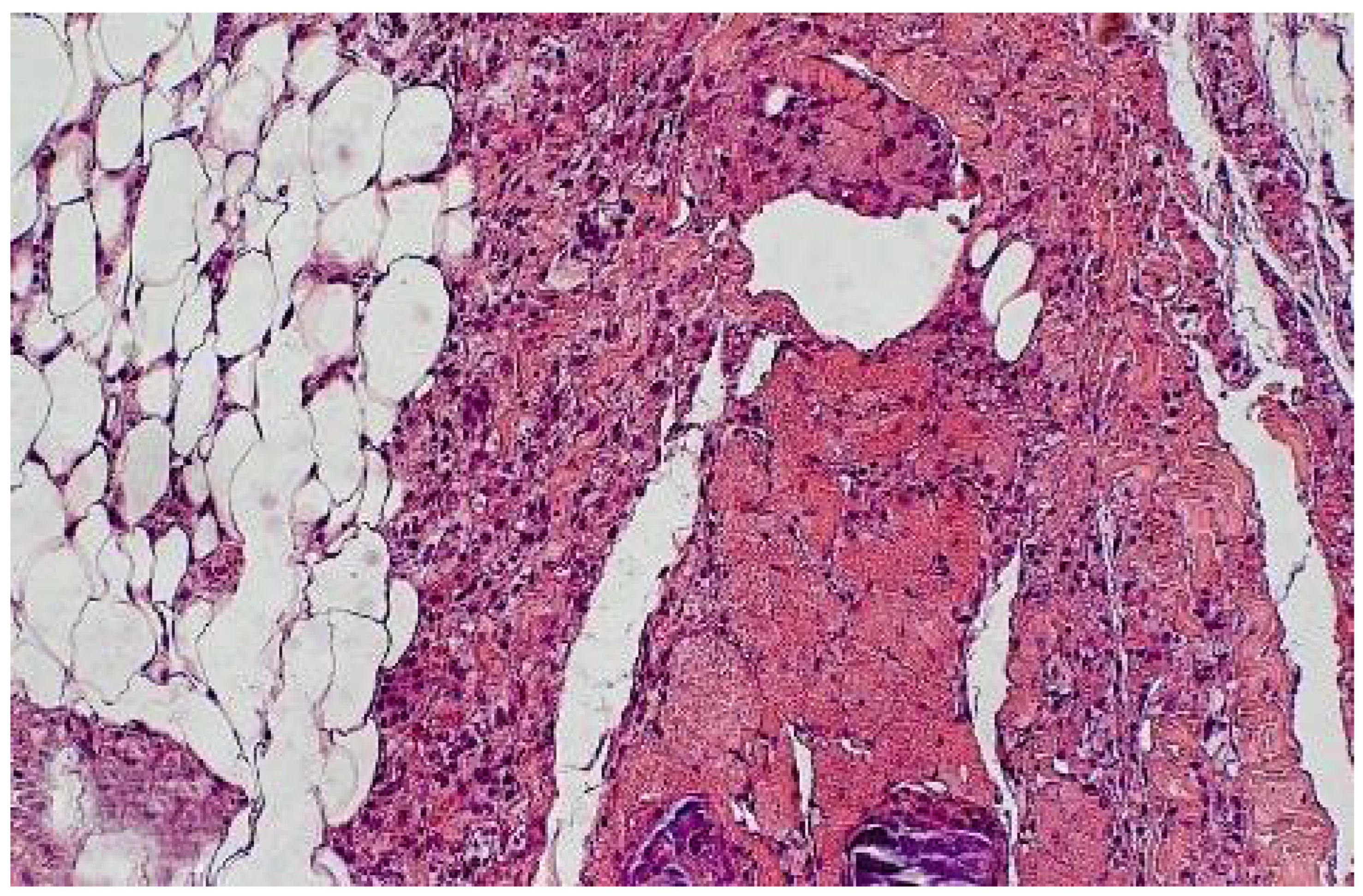Polymers 14 03431 g012