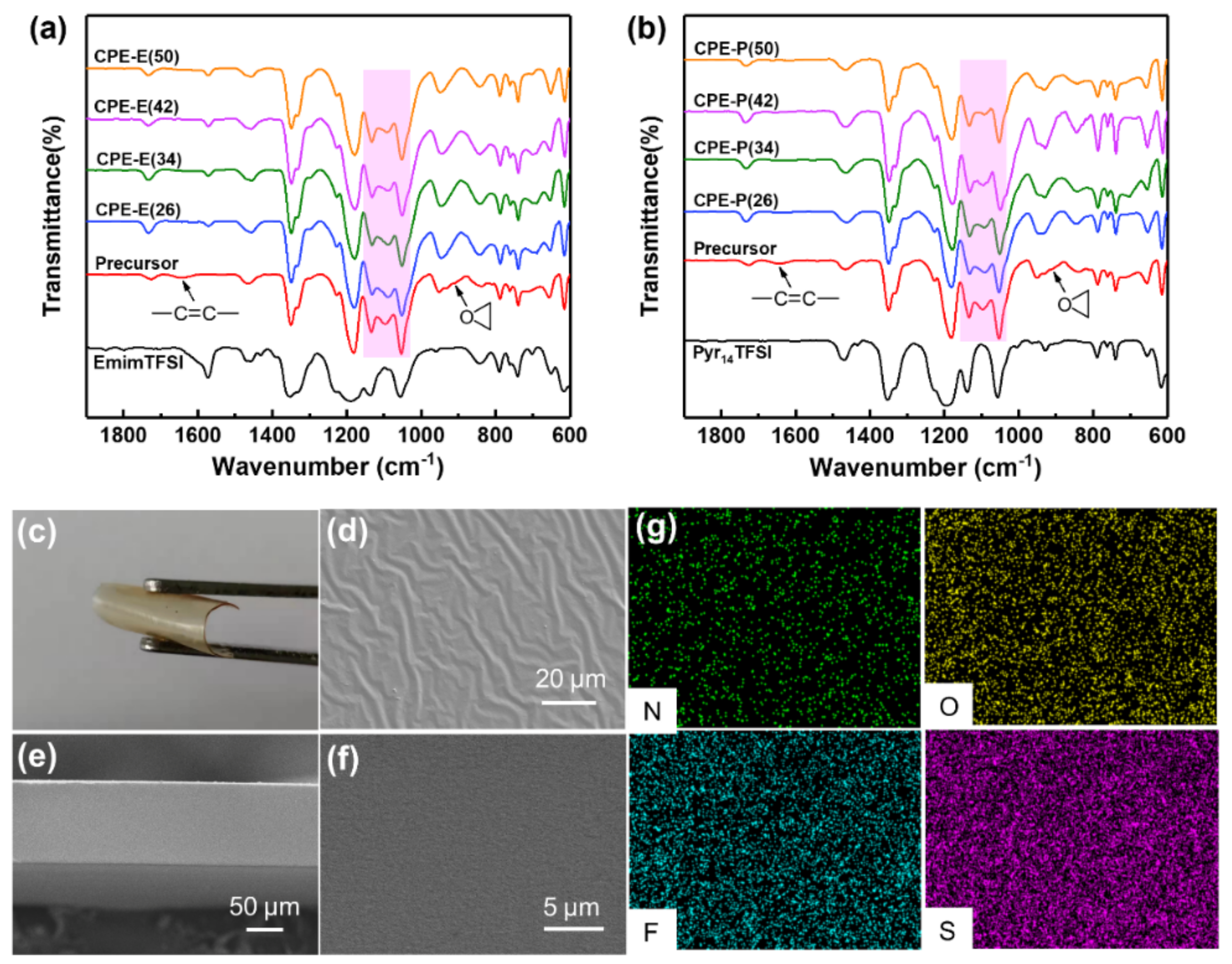 Polymers 14 03435 g001