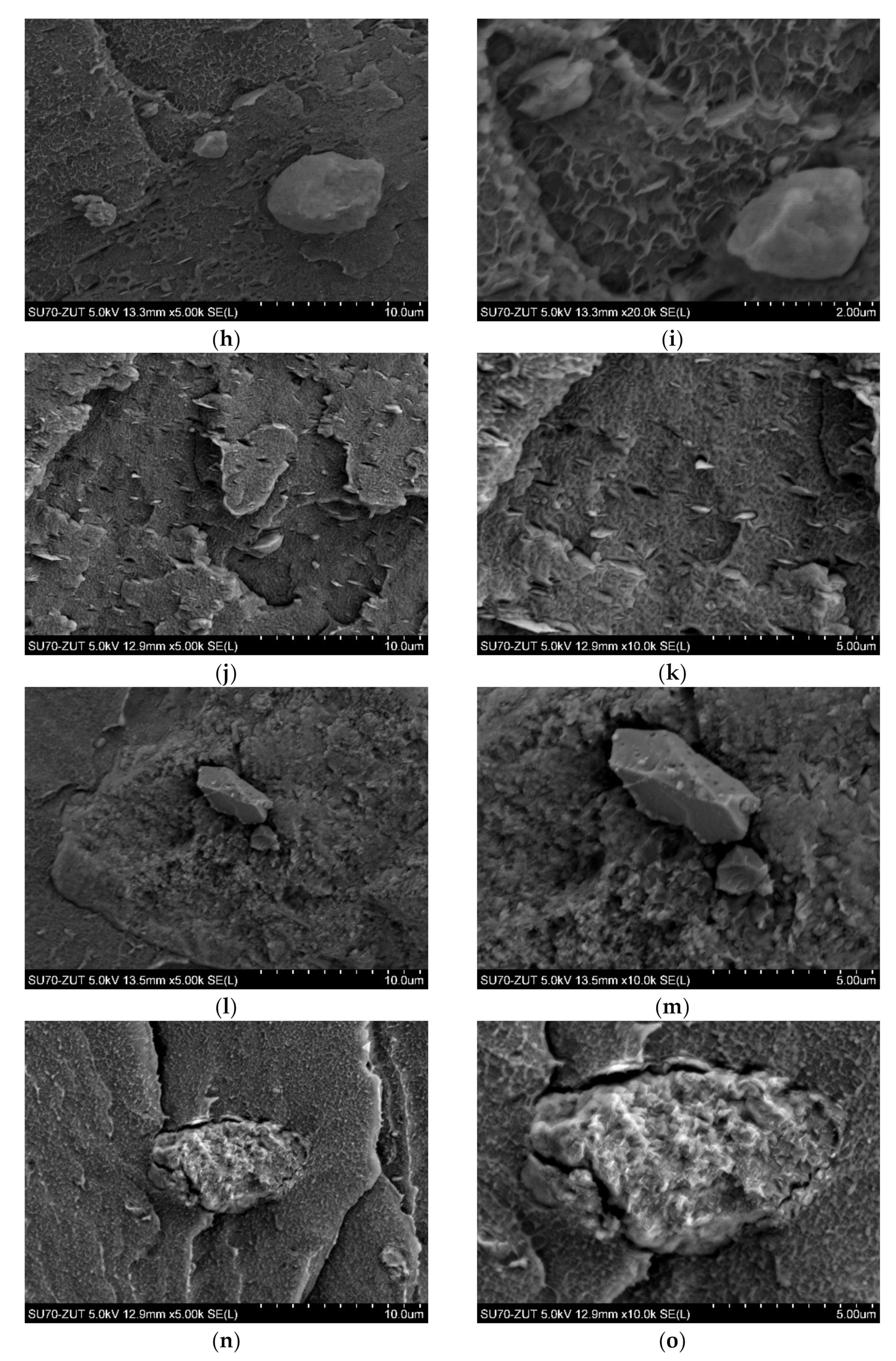Polymers 14 03444 g003b