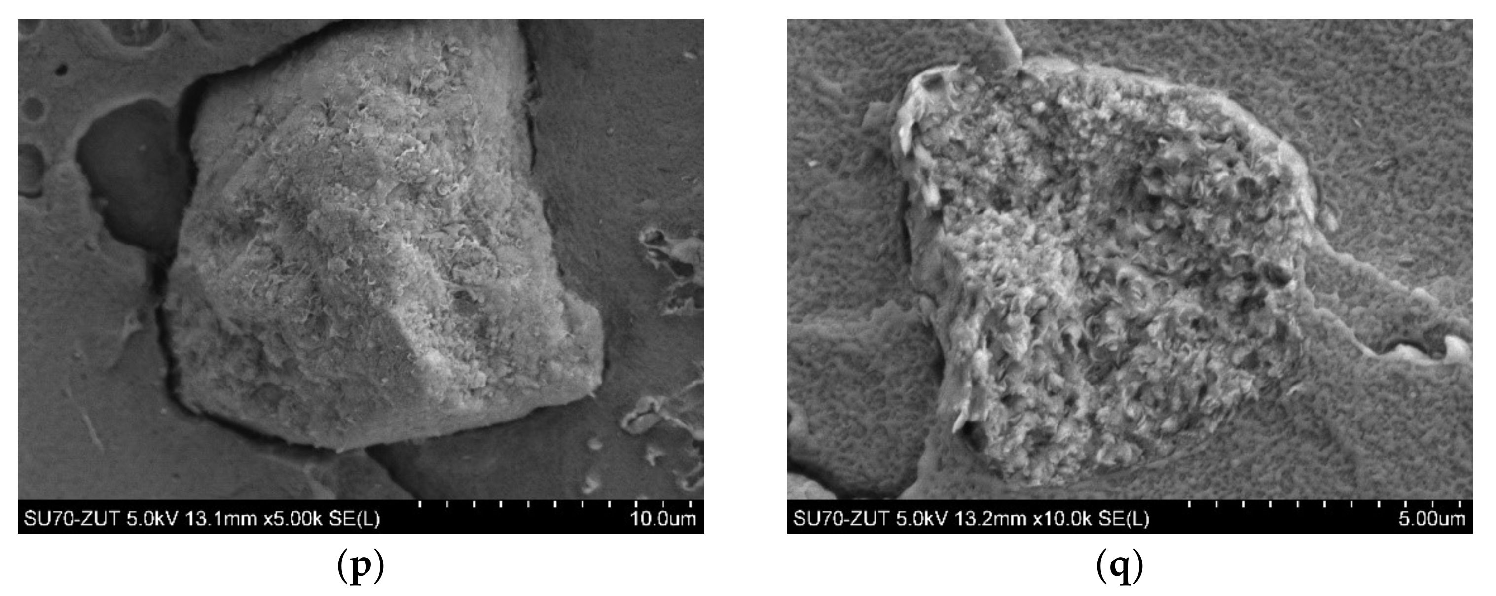 Polymers 14 03444 g003c