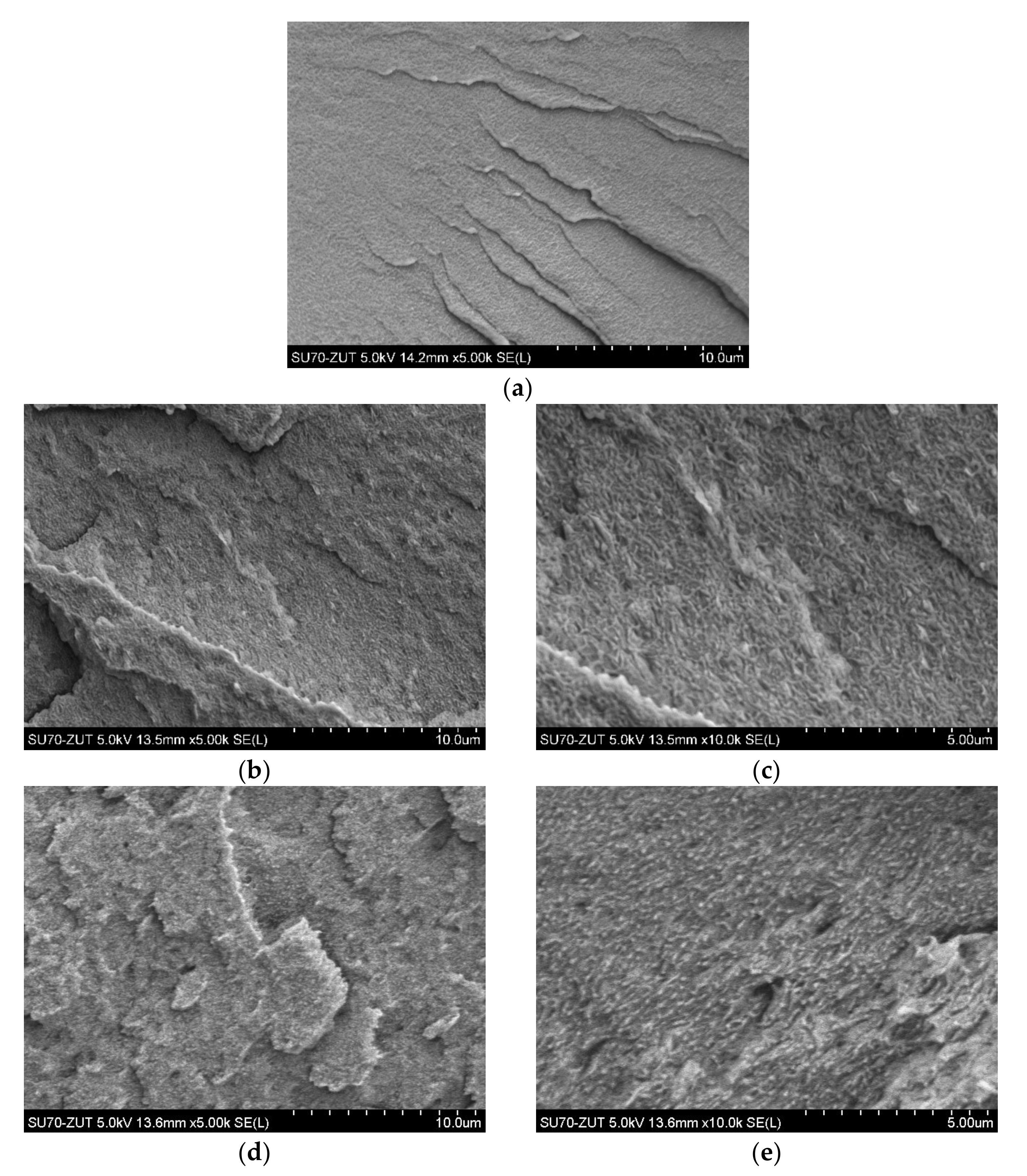 Polymers 14 03444 g004a