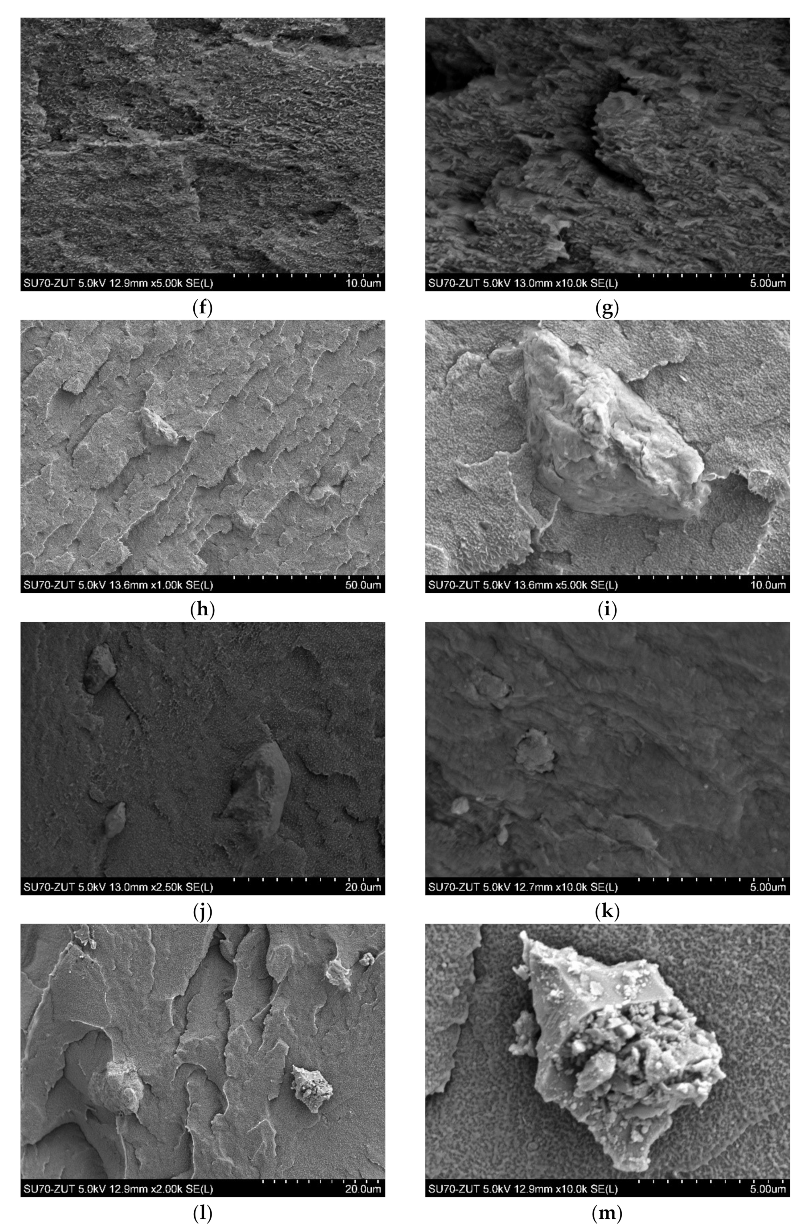 Polymers 14 03444 g004b