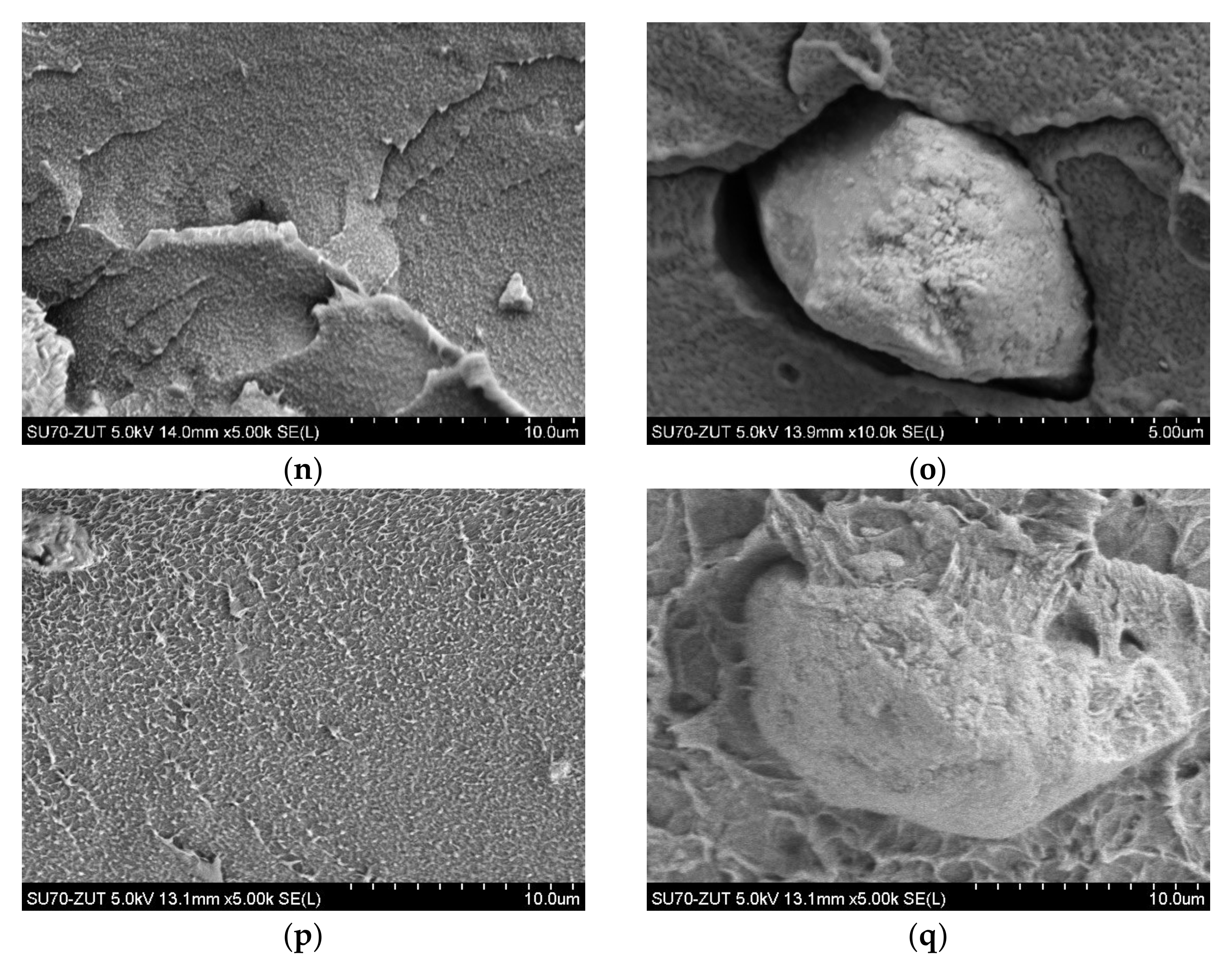 Polymers 14 03444 g004c