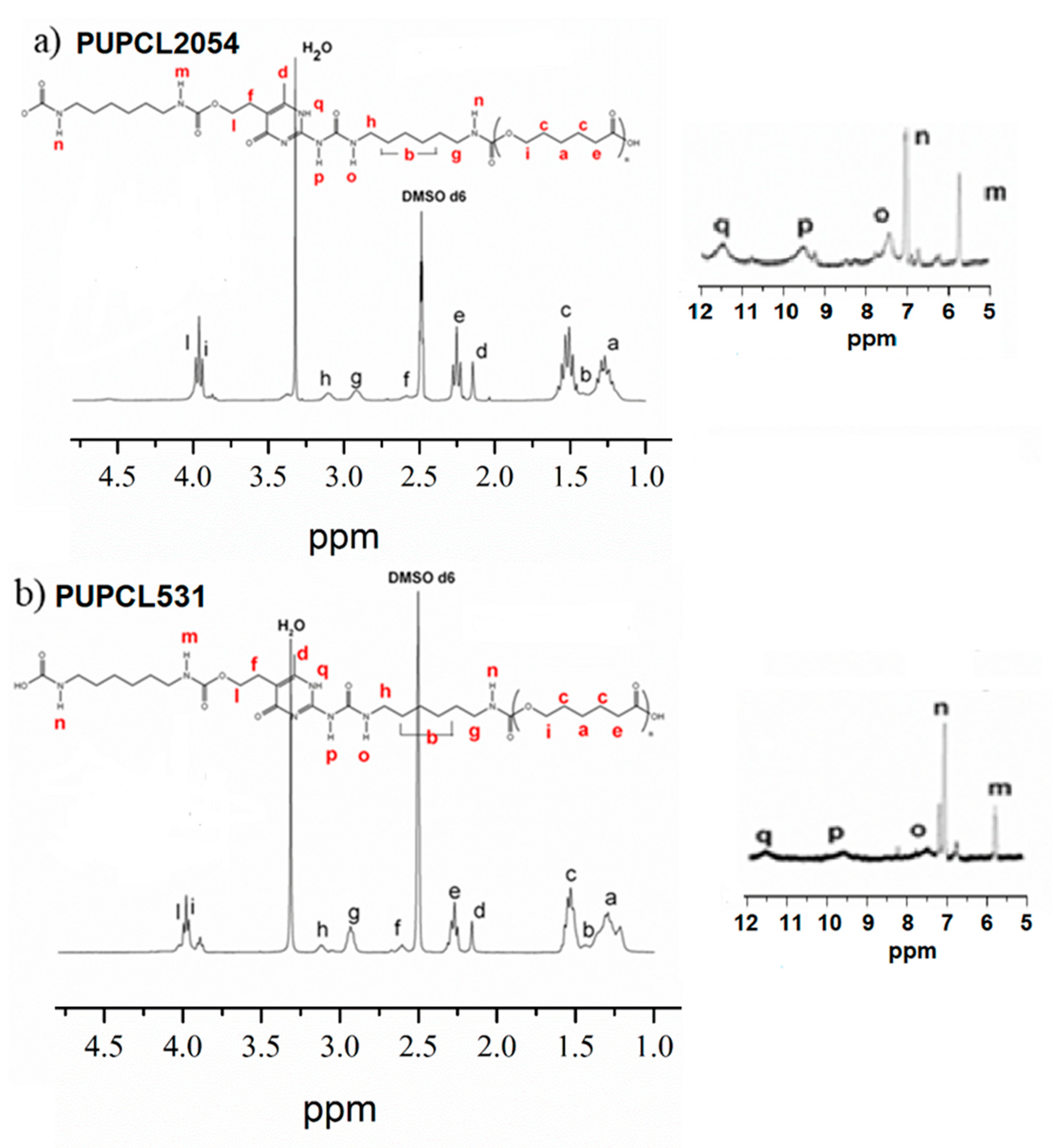 Polymers 14 03447 g002