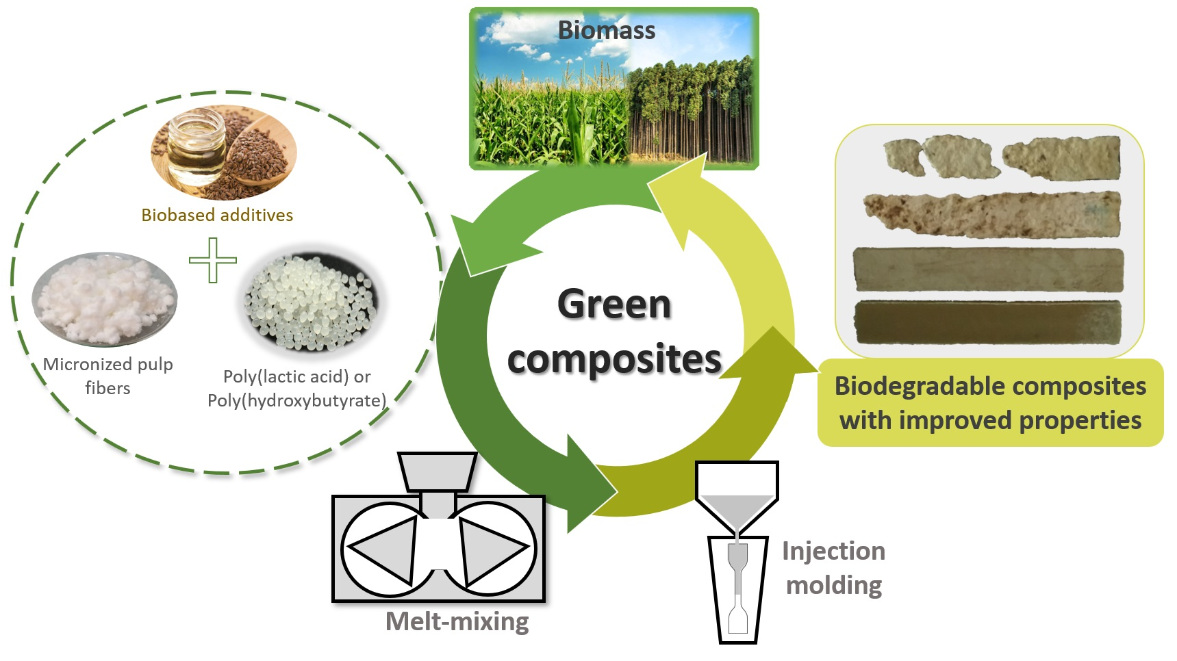 Polymers Free FullText Improving the Processability and