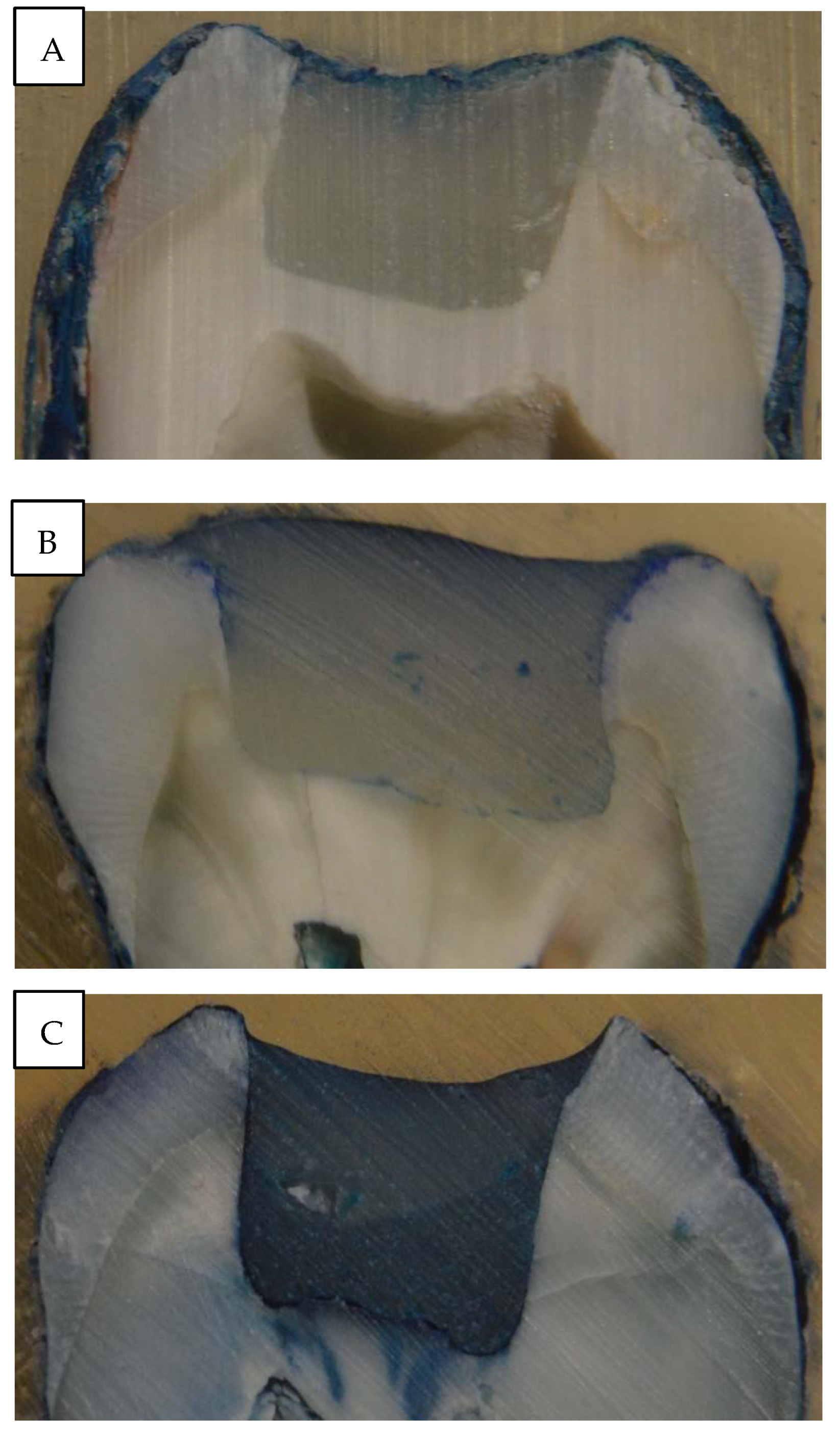 Polymers 14 03463 g003