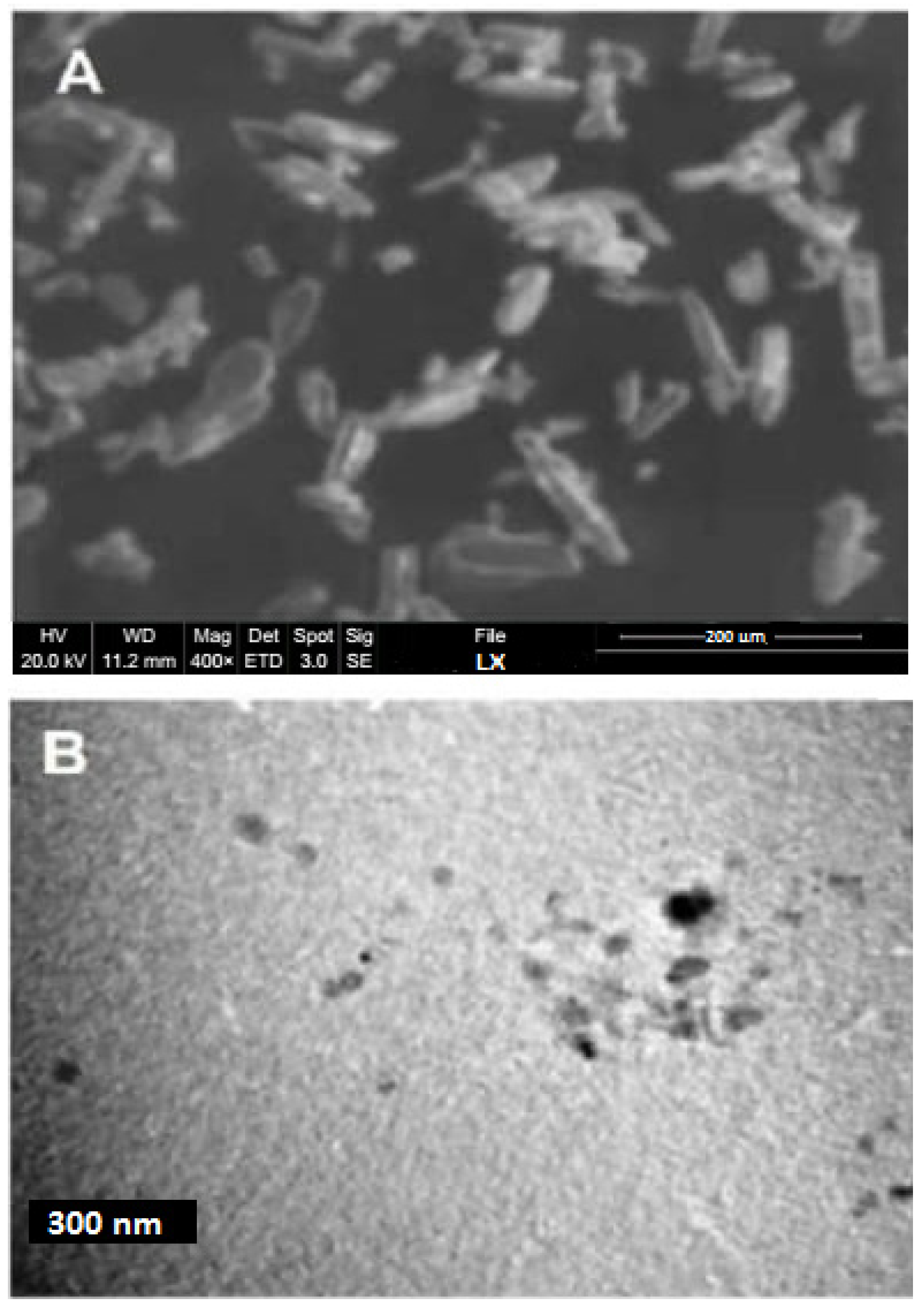 Polymers 14 03464 g001
