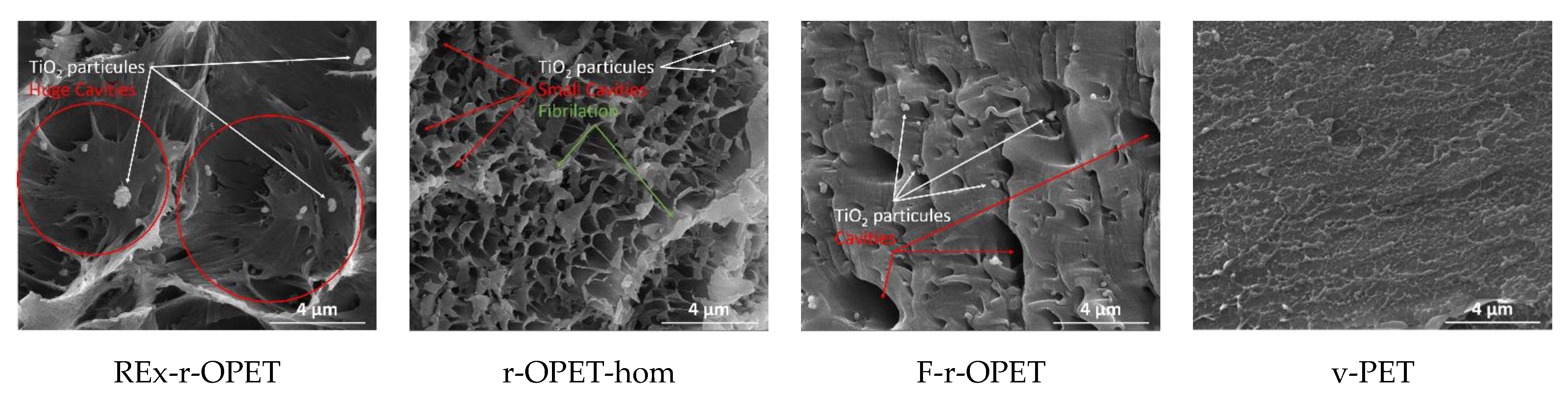 Polymers 14 03466 g013