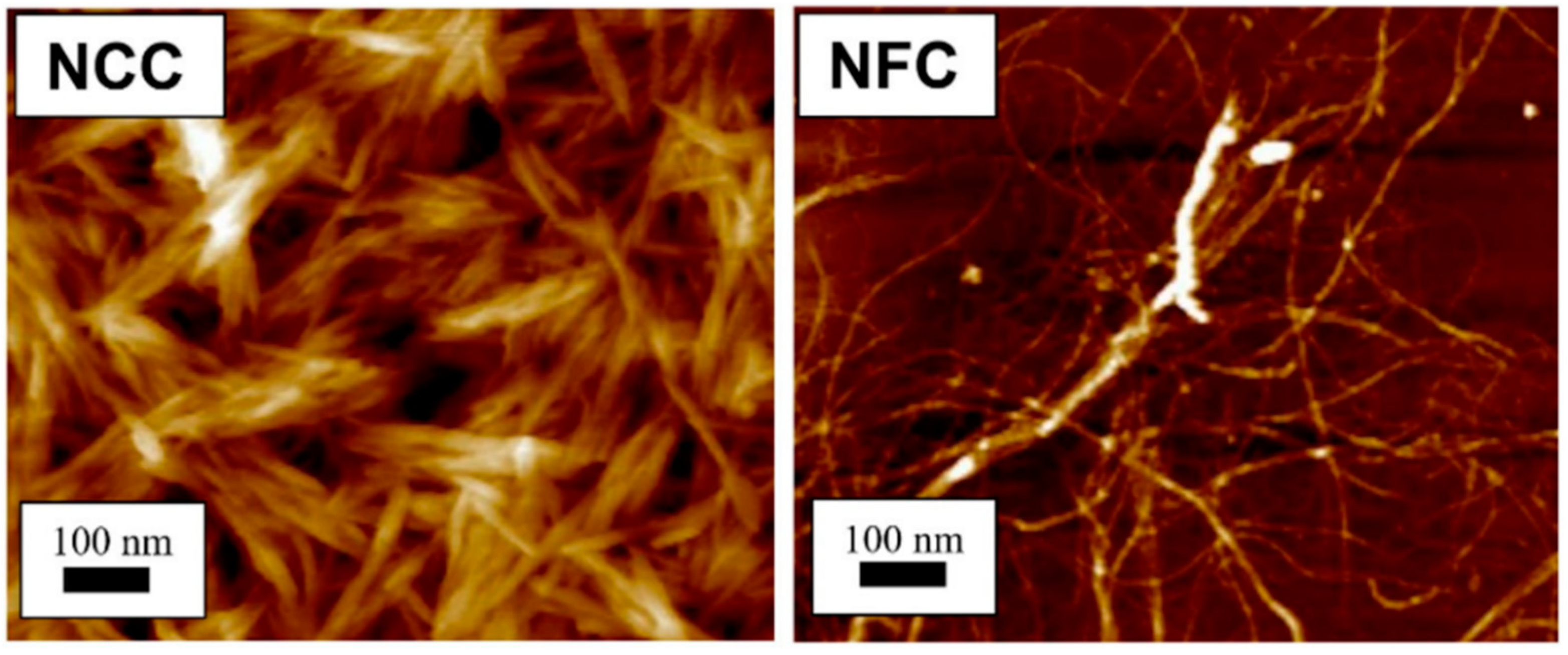 Polymers 14 03479 g001