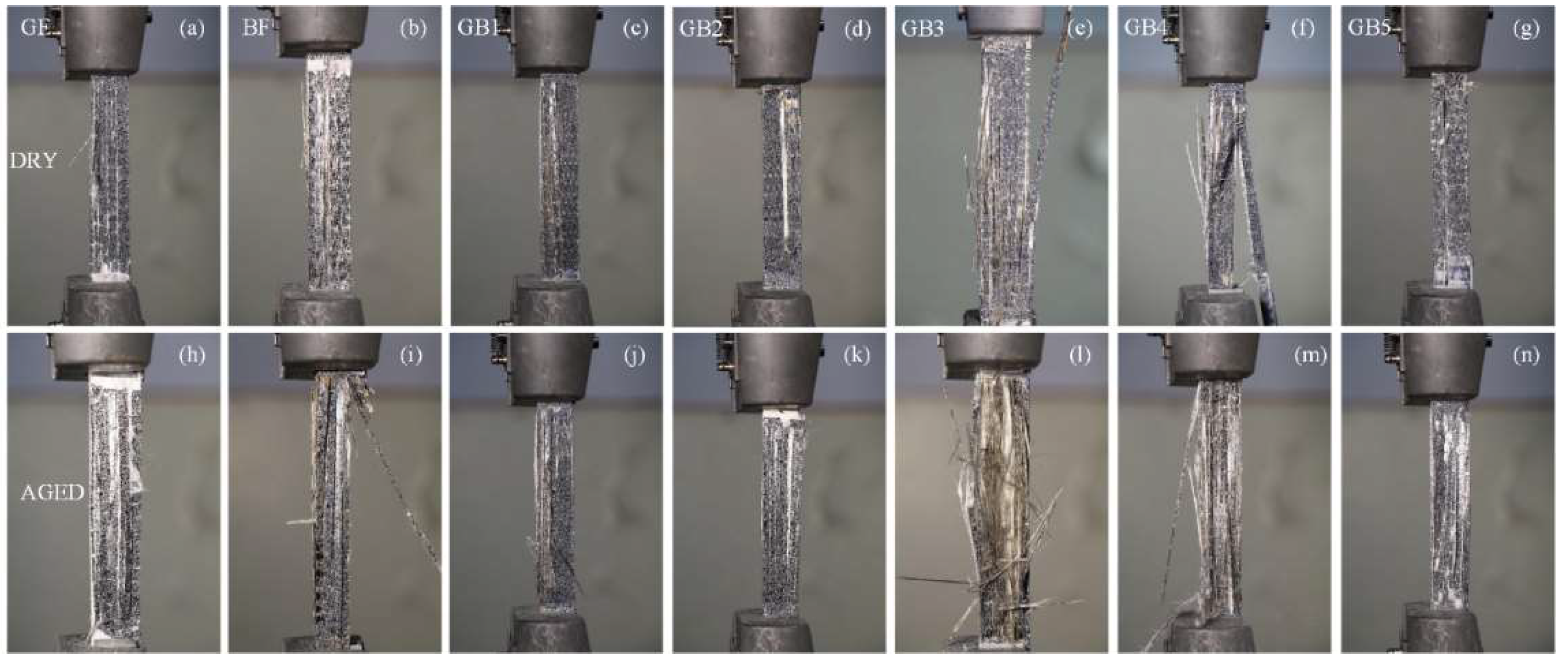 Polymers 14 03480 g008