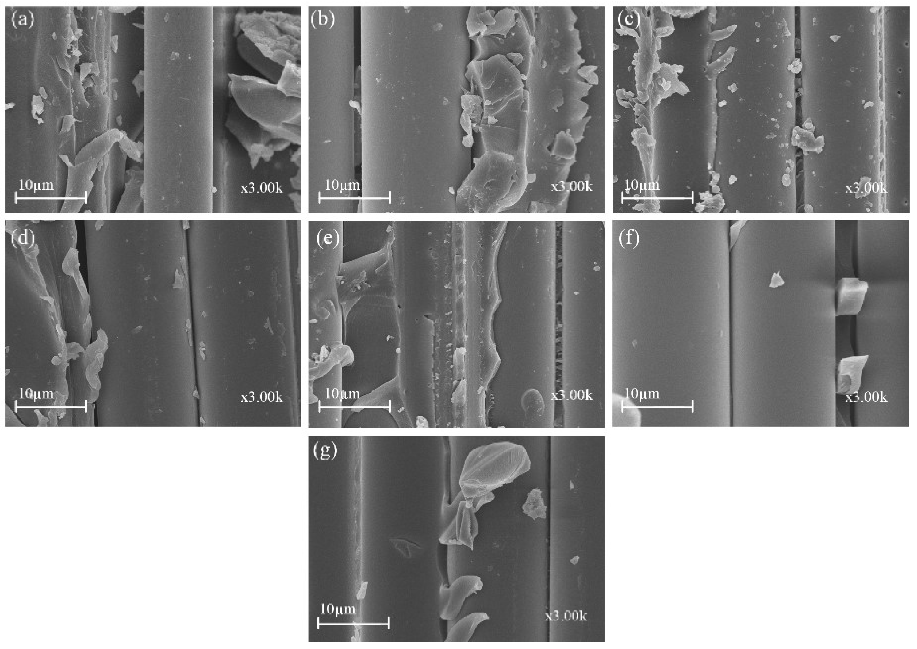 Polymers 14 03480 g010