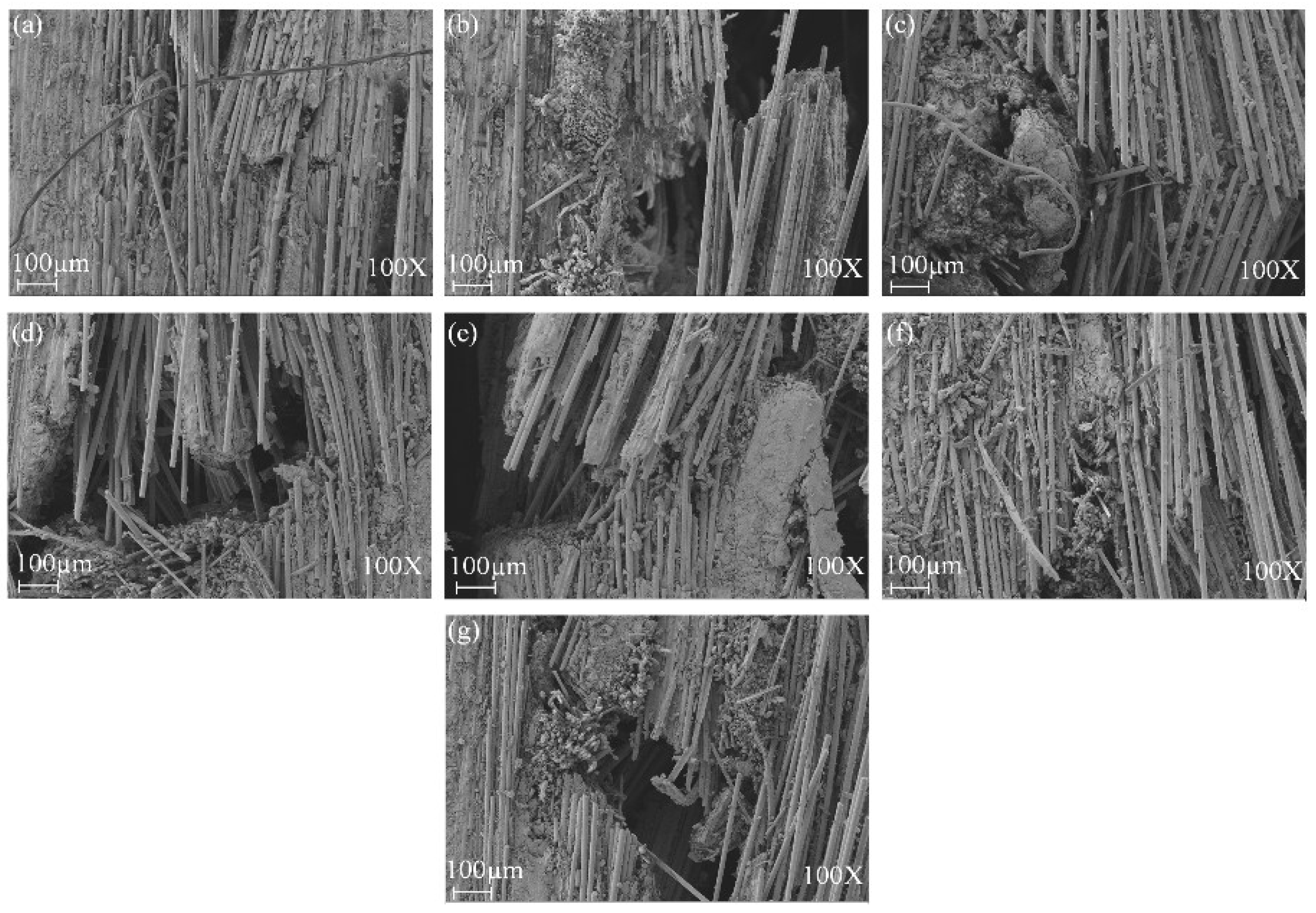 Polymers 14 03480 g014