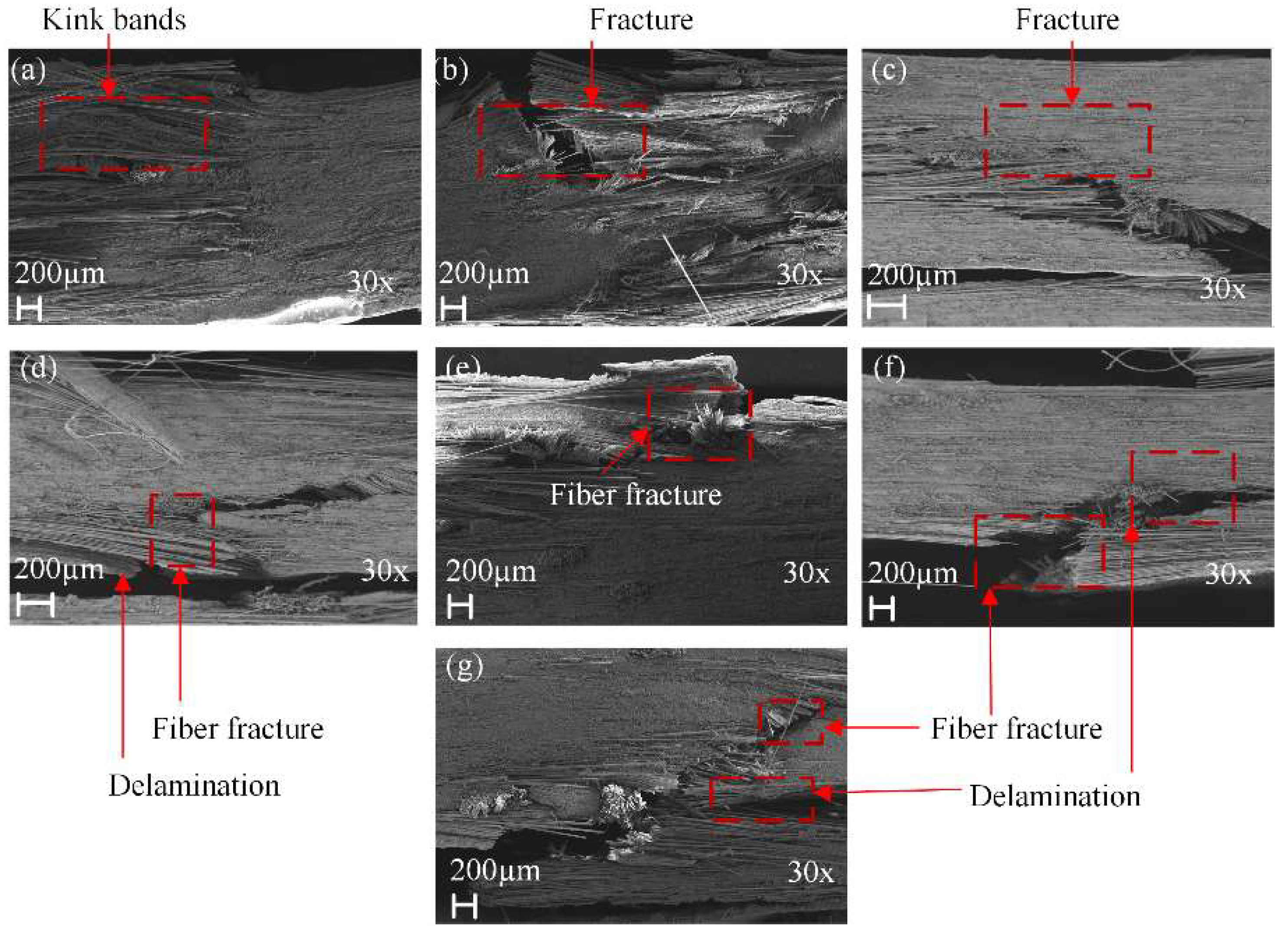 Polymers 14 03480 g019