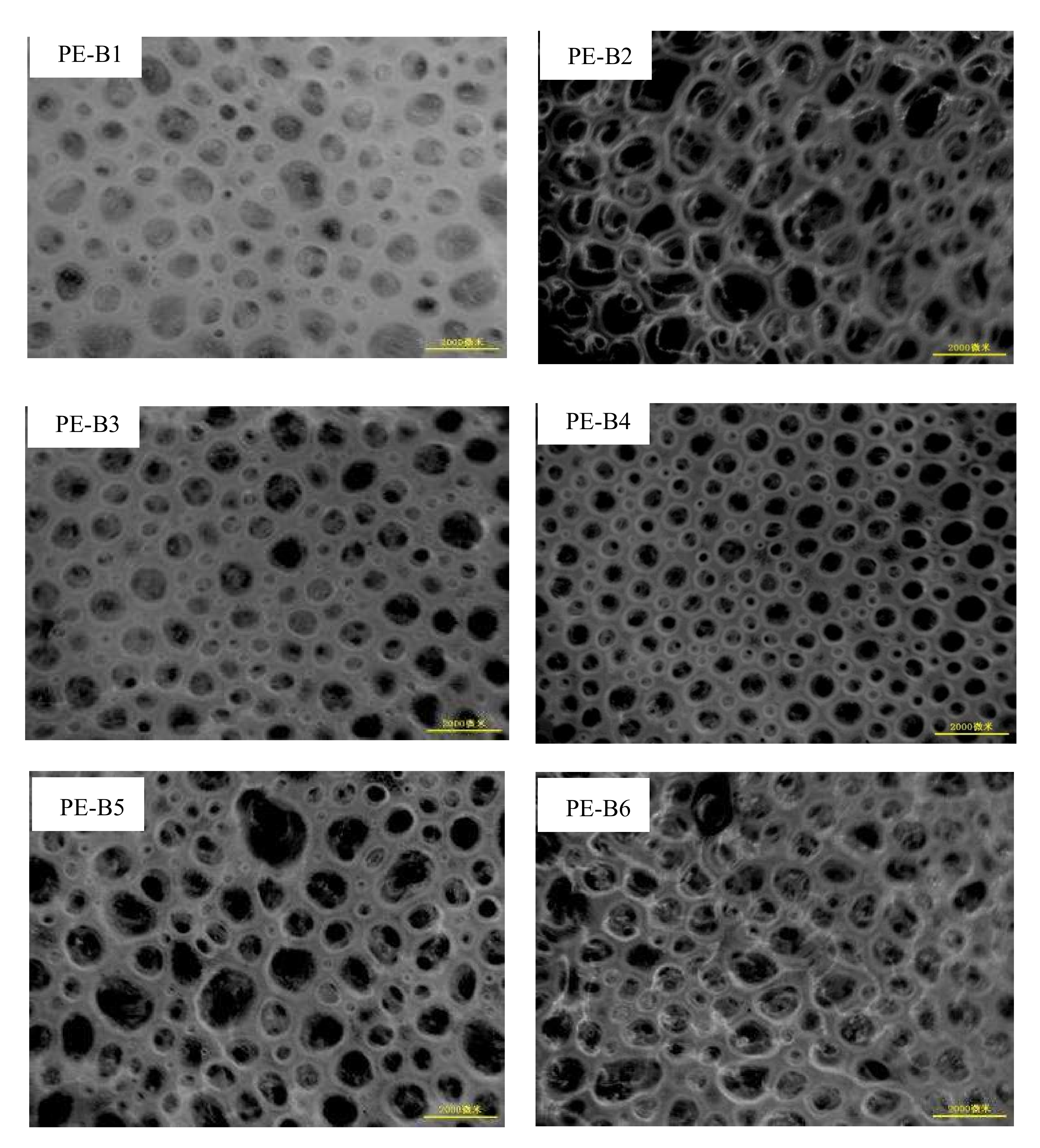 Polymers, Free Full-Text