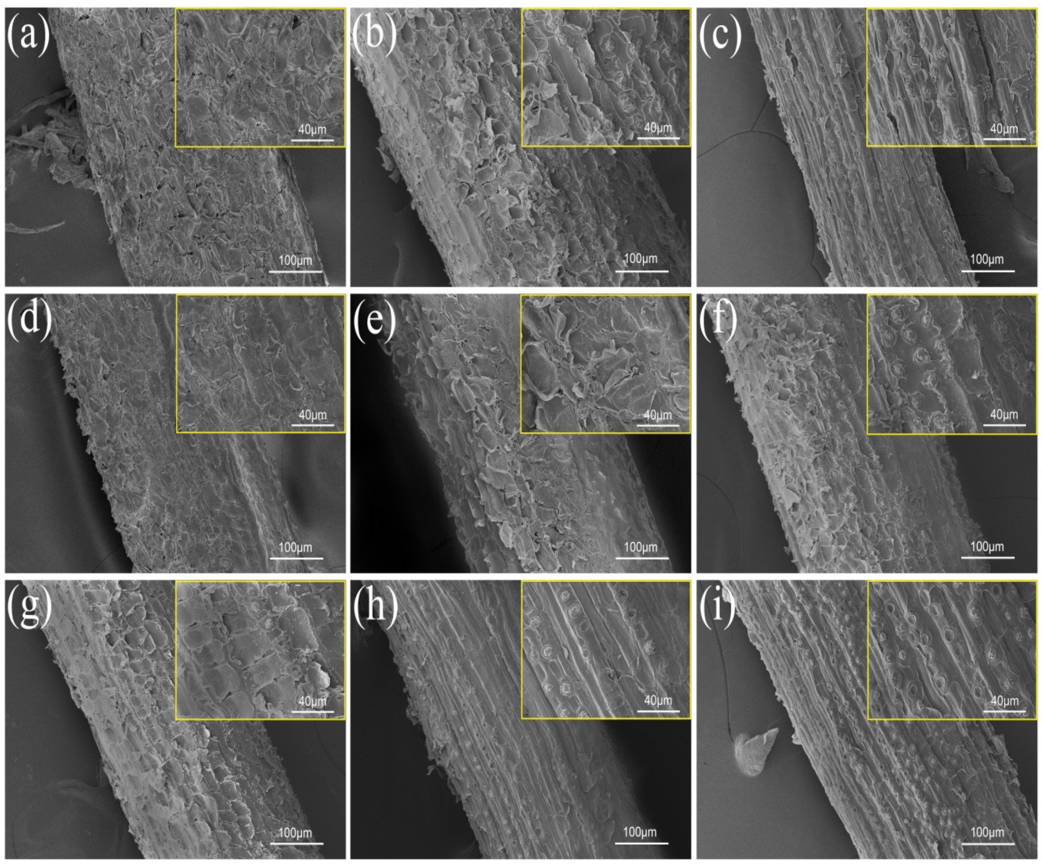 Polymers 14 03488 g004
