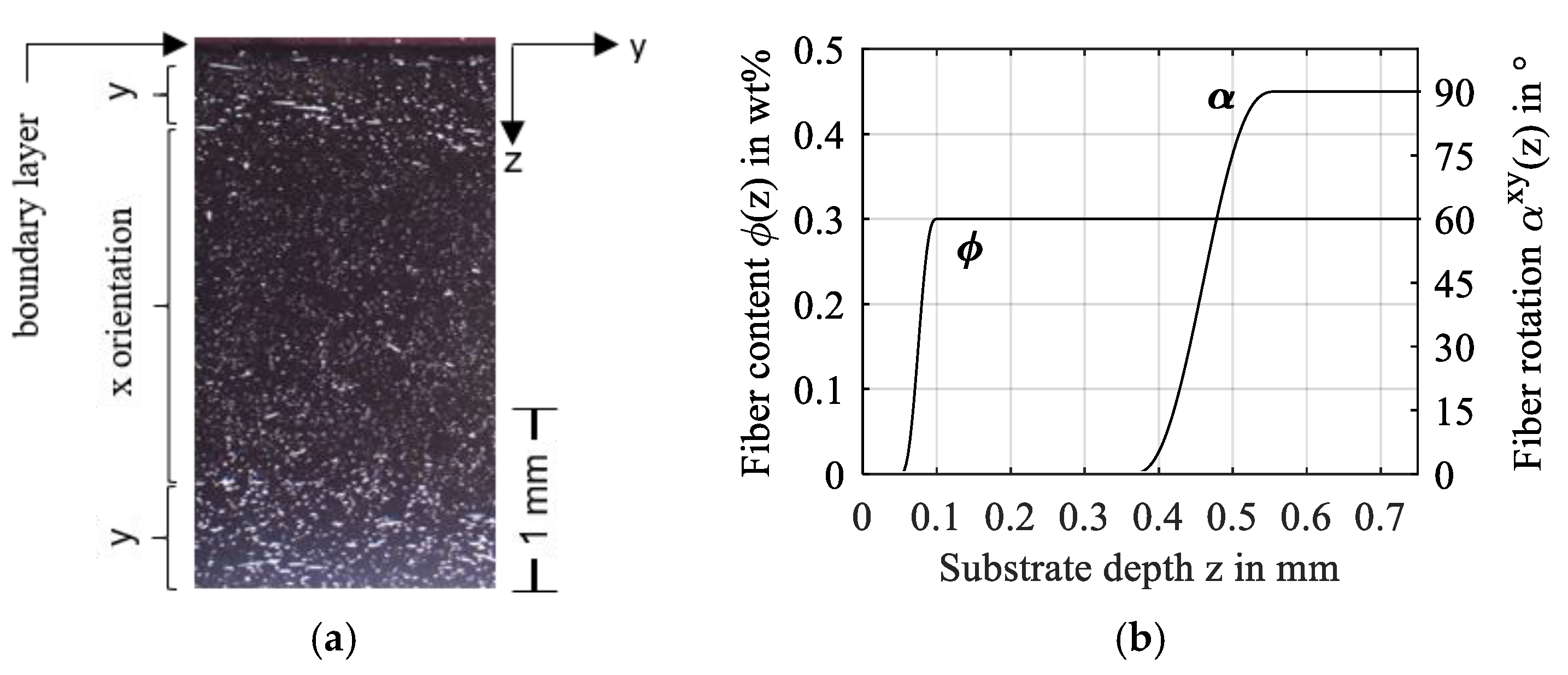 Polymers 14 03507 g018