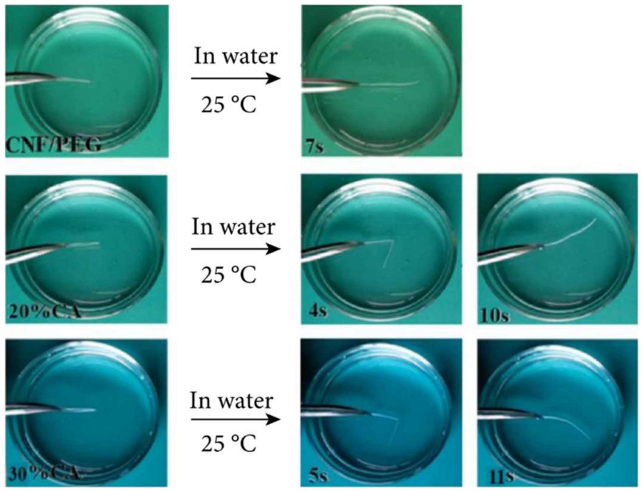 Polymers 14 03511 g014