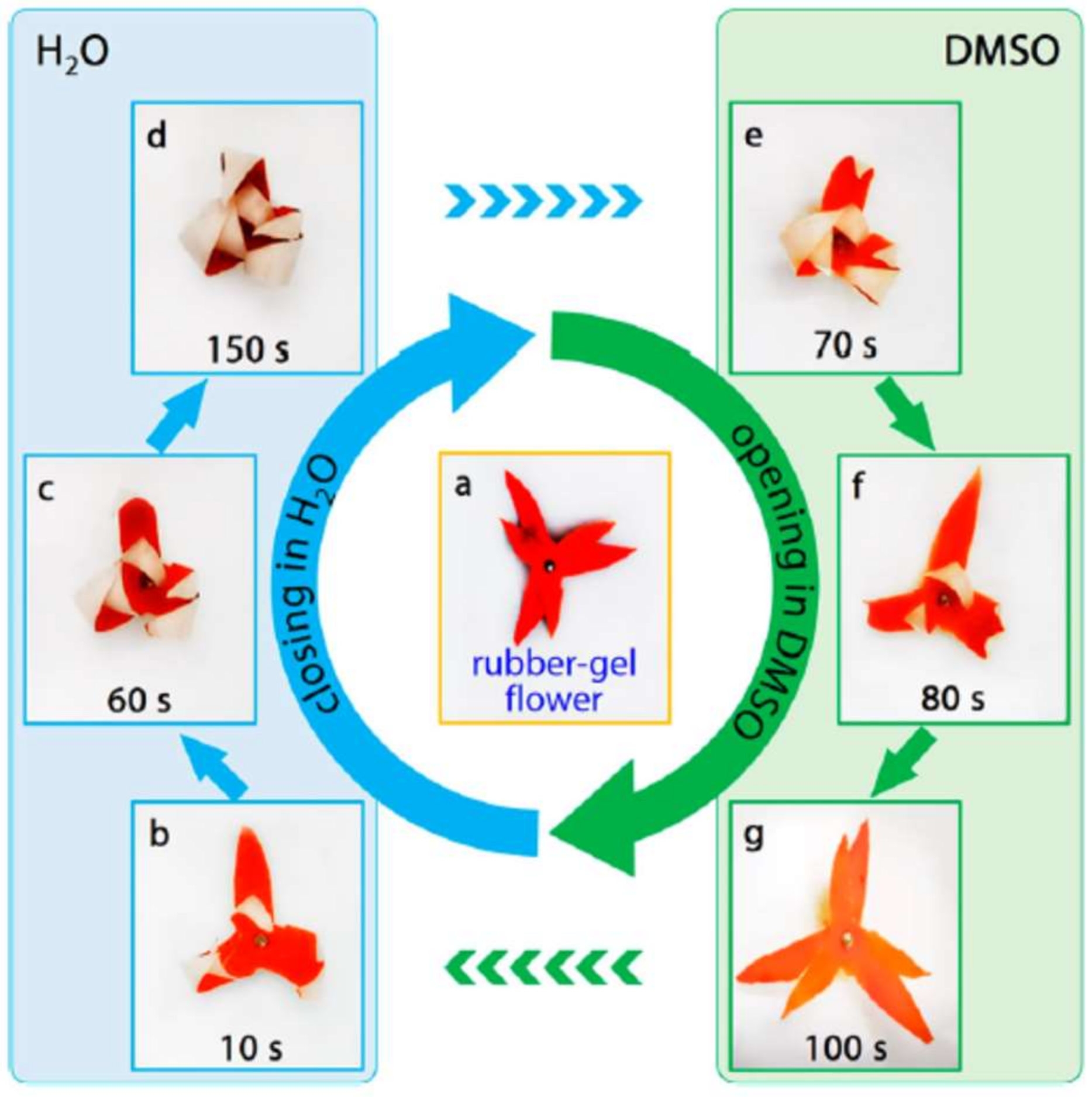 Polymers 14 03511 g015