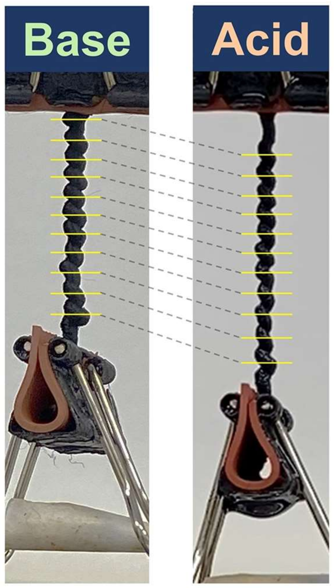 Polymers 14 03511 g021