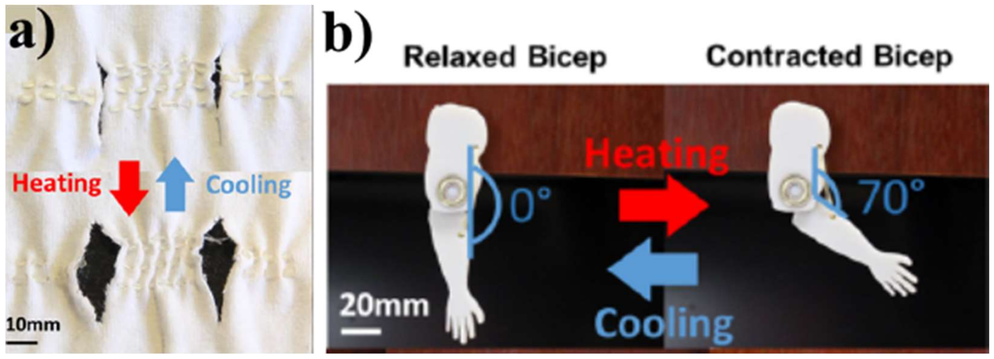 Polymers 14 03511 g025