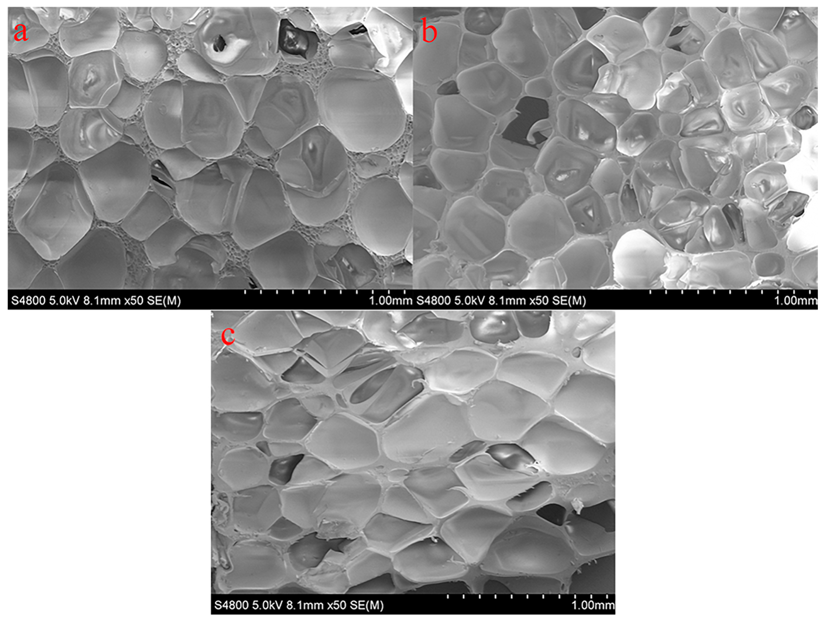 Polymers 14 03522 g002