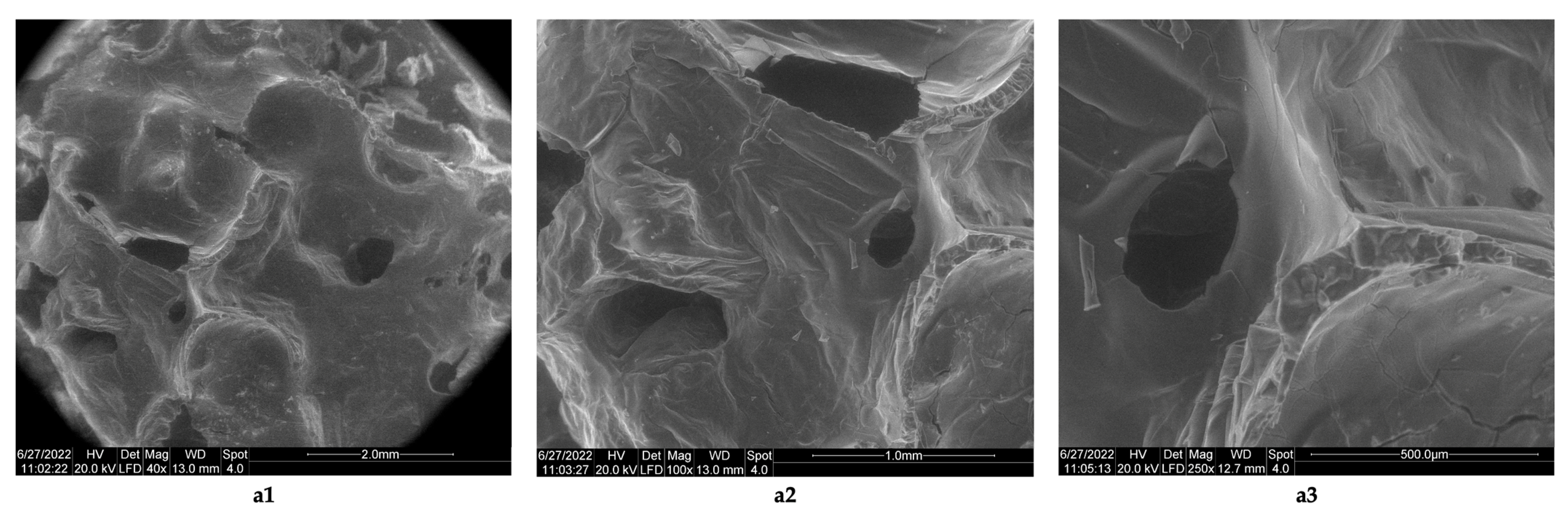 Polymers 14 03544 g005