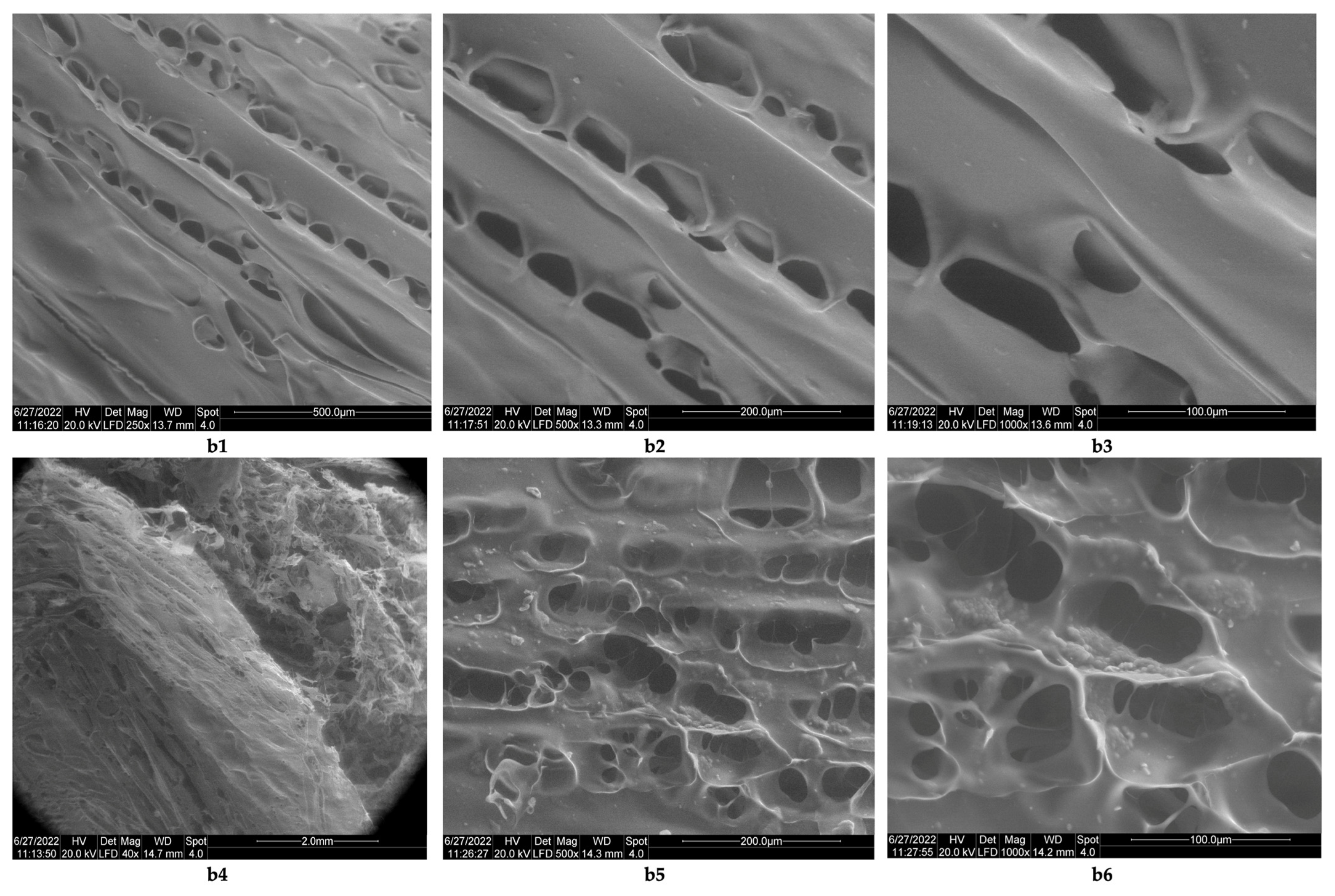 Polymers 14 03544 g006
