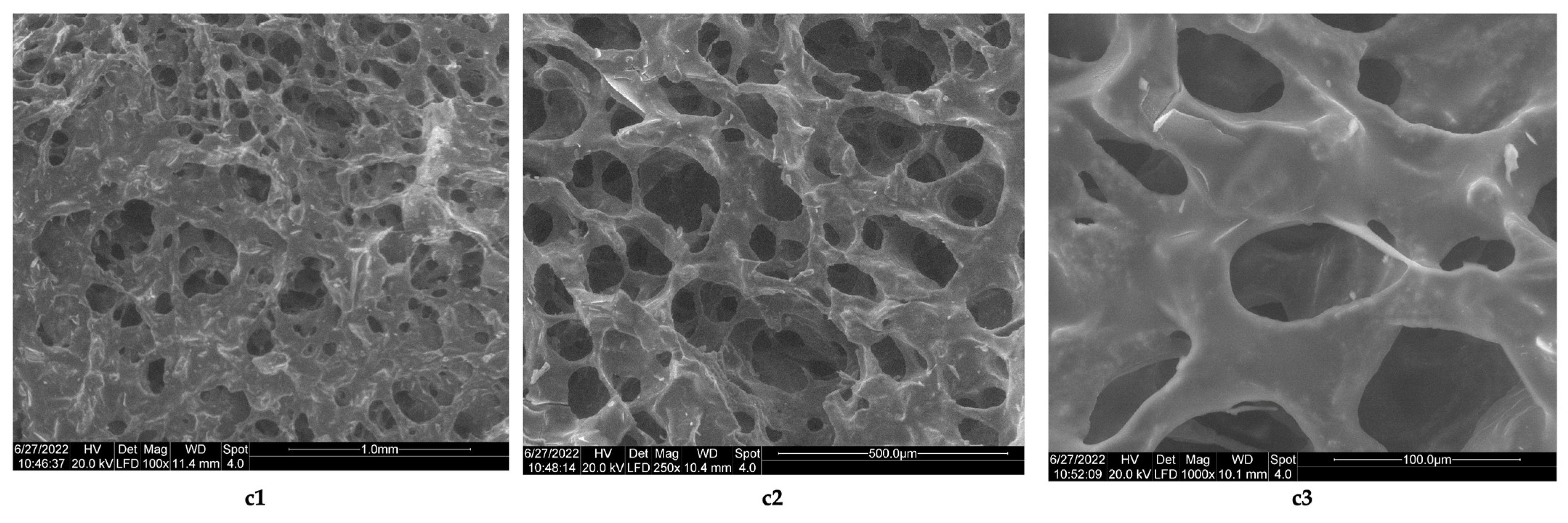 Polymers 14 03544 g007