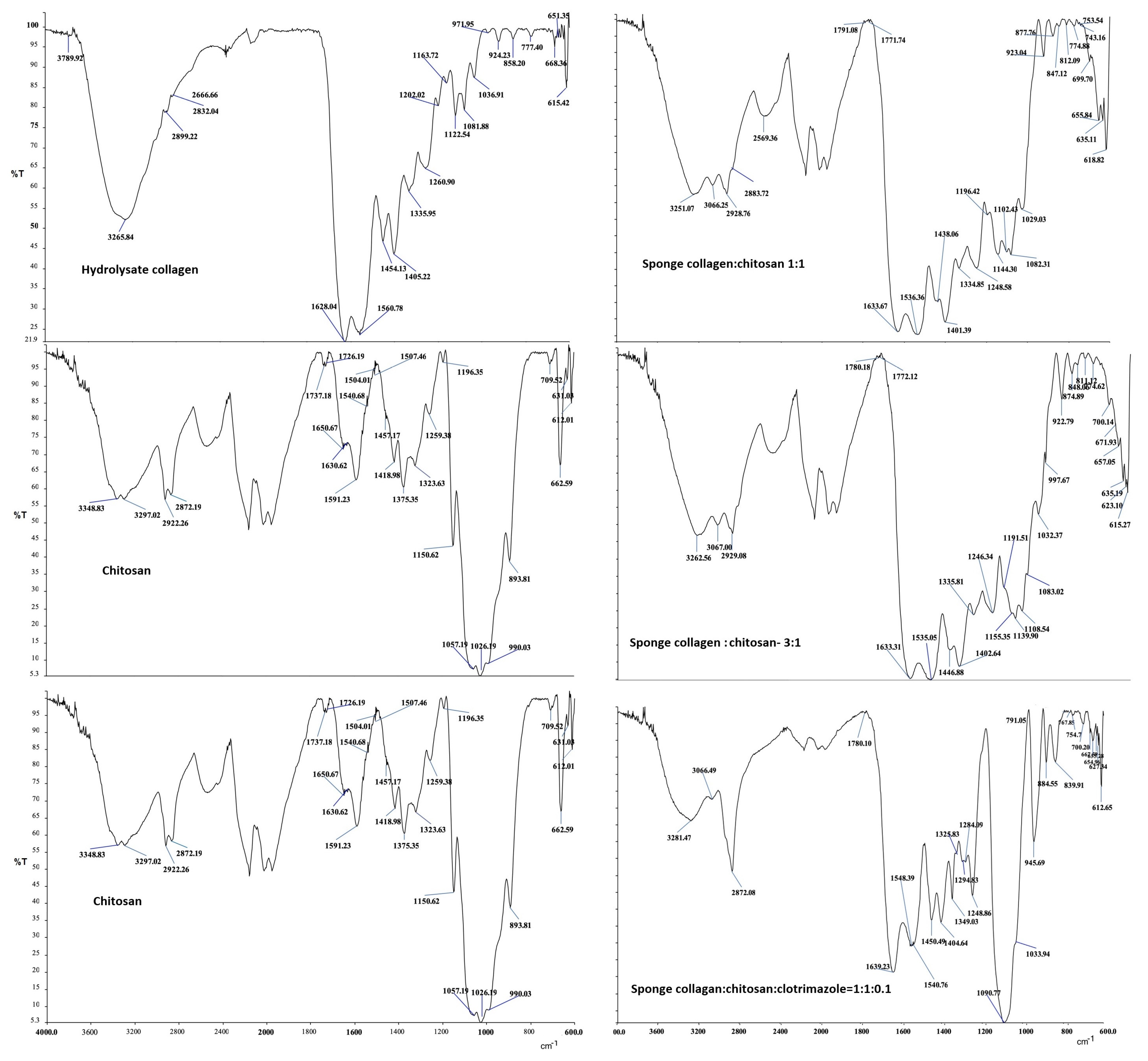 Polymers 14 03544 g010