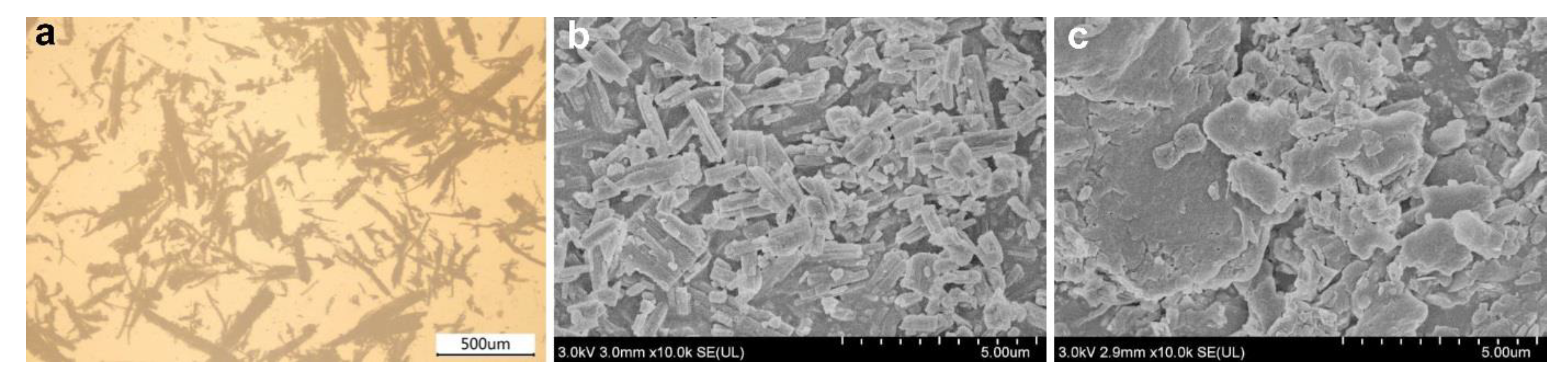 Polymers 14 03561 g001