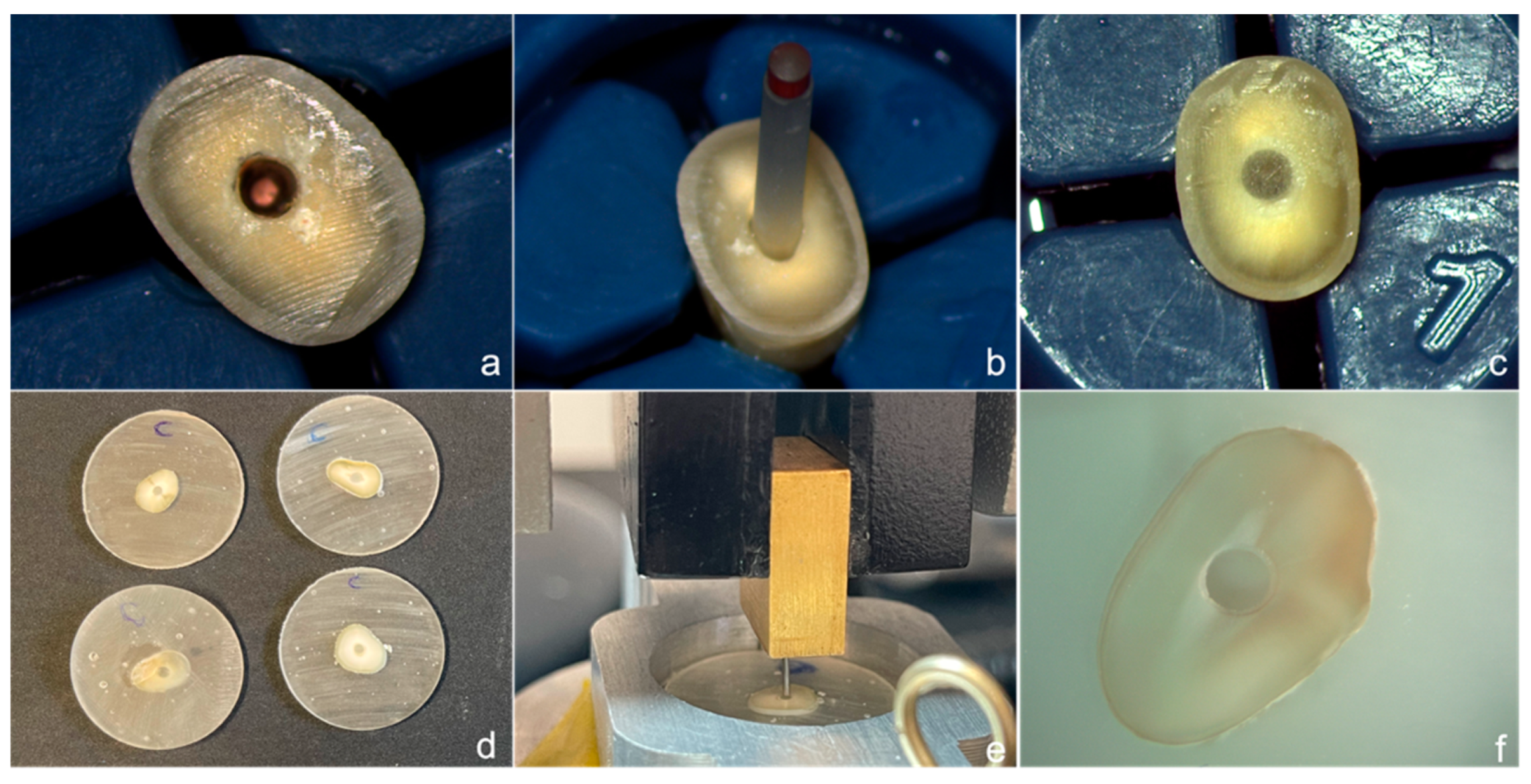 Polymers 14 03567 g001
