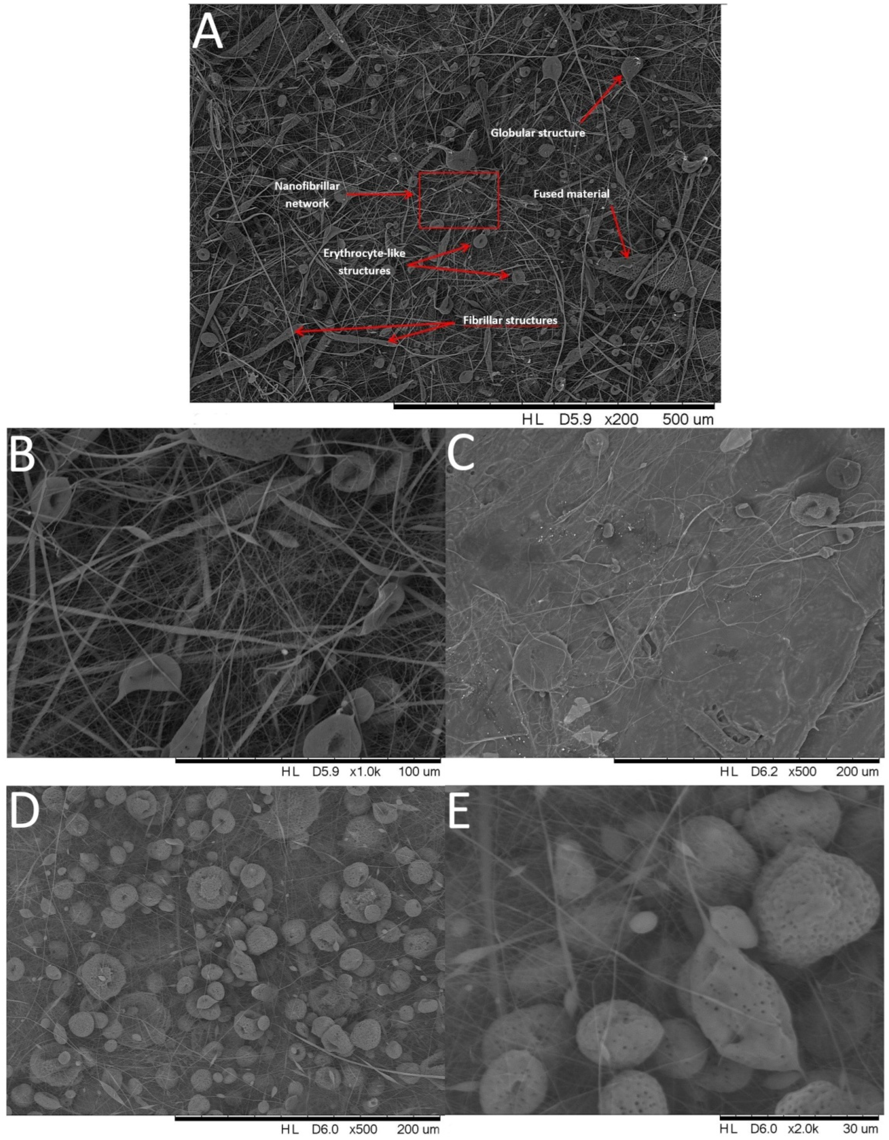 Polymers 14 03569 g001