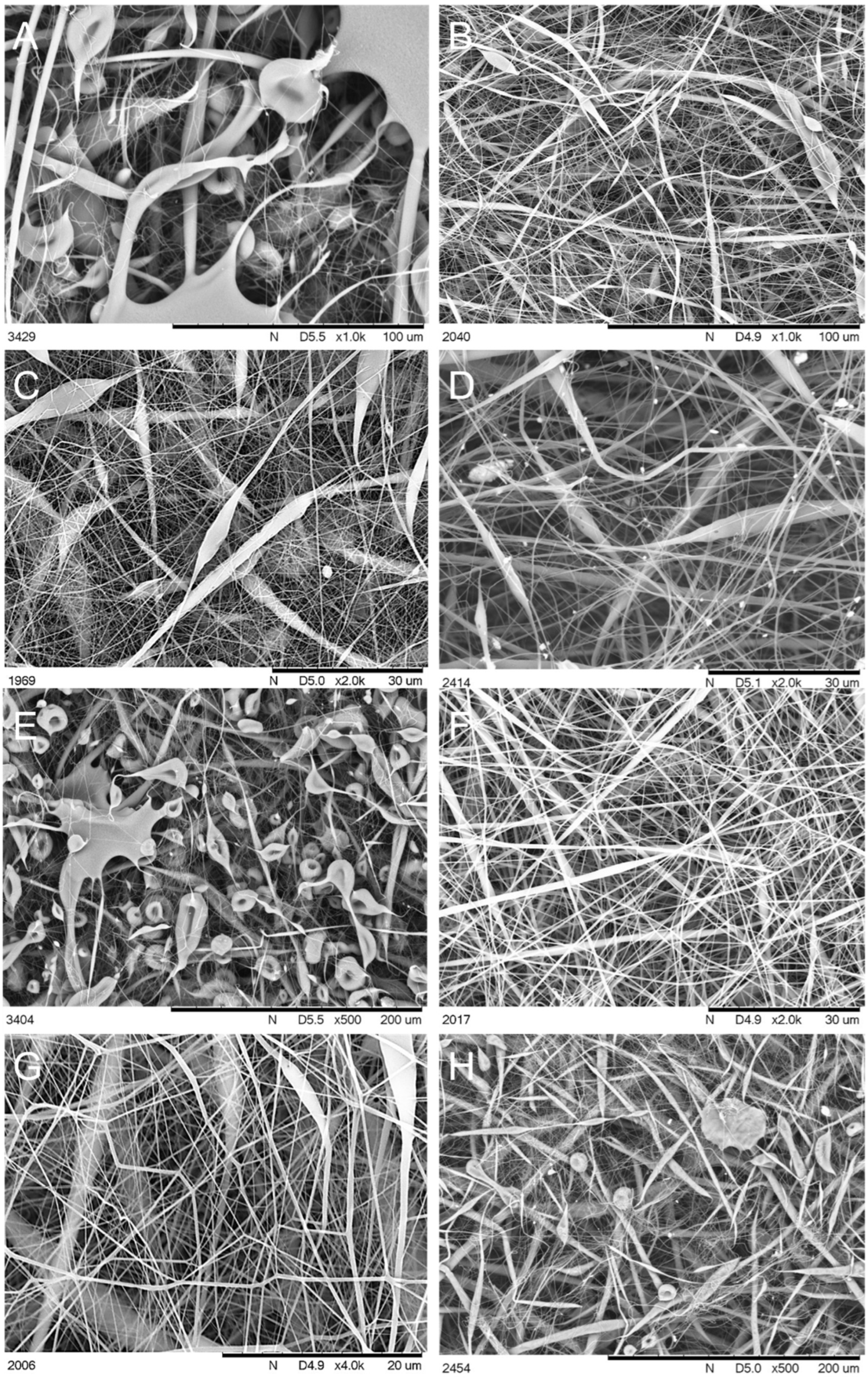 Polymers 14 03569 g002