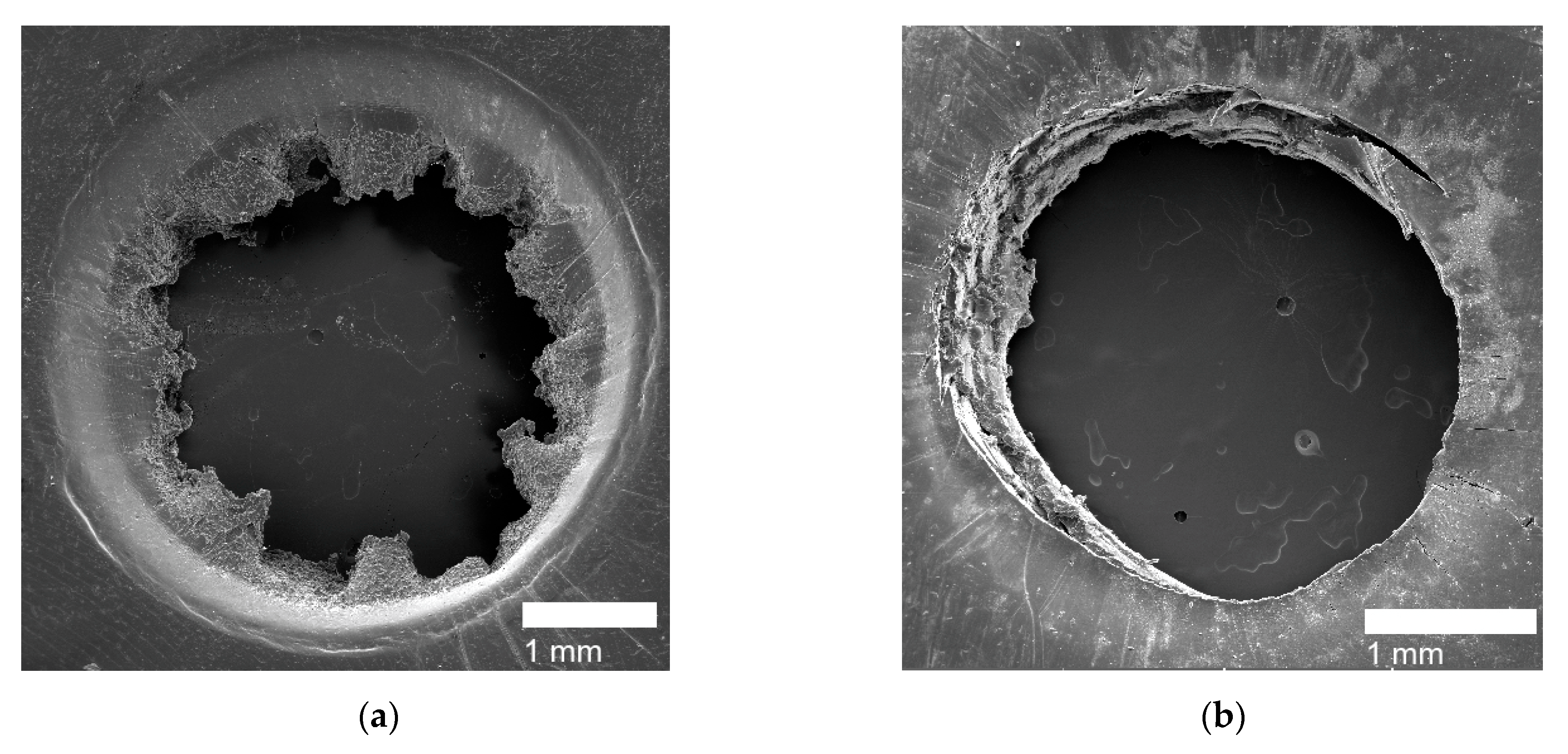Polymers 14 03575 g011