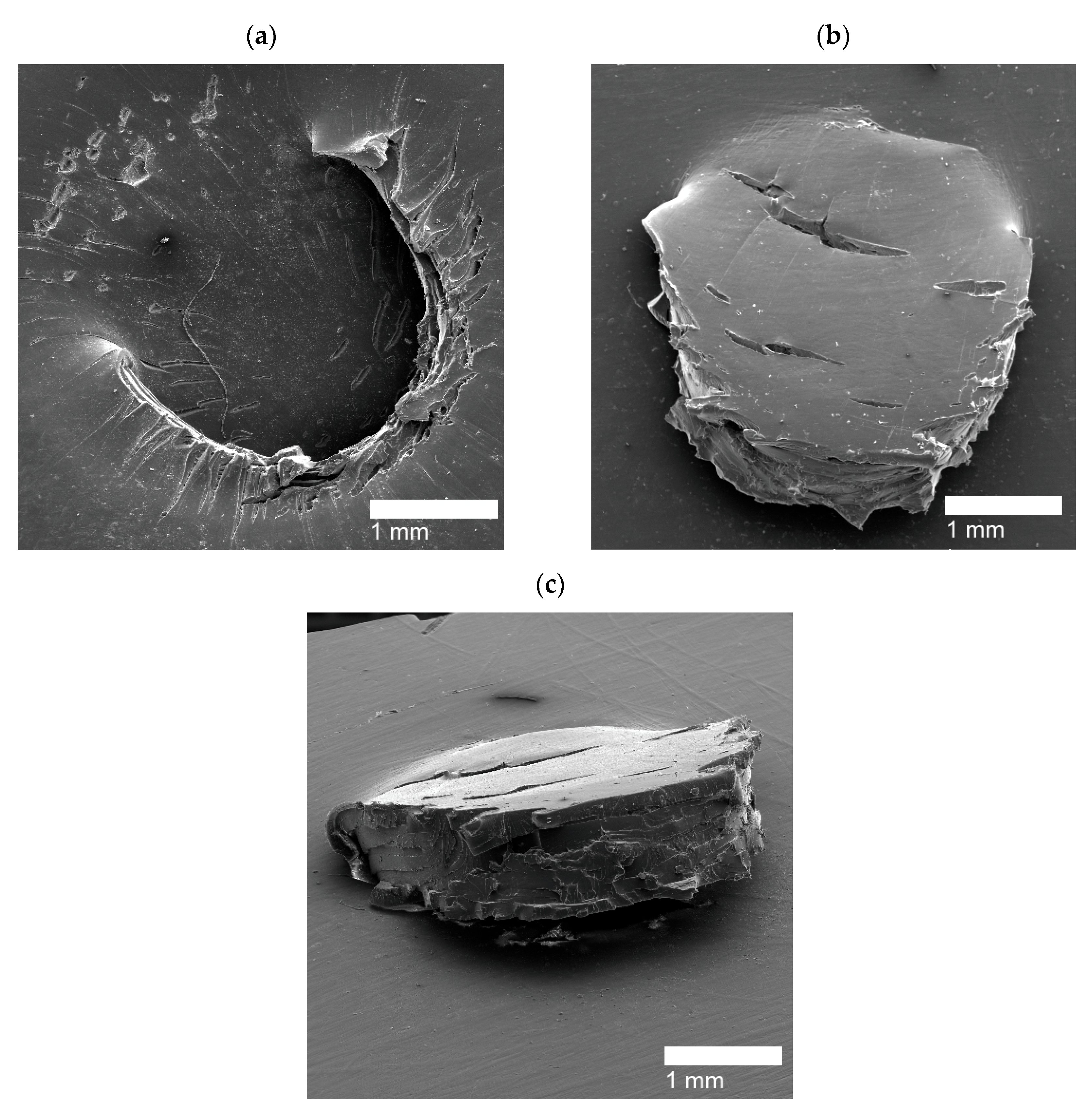 Polymers 14 03575 g012