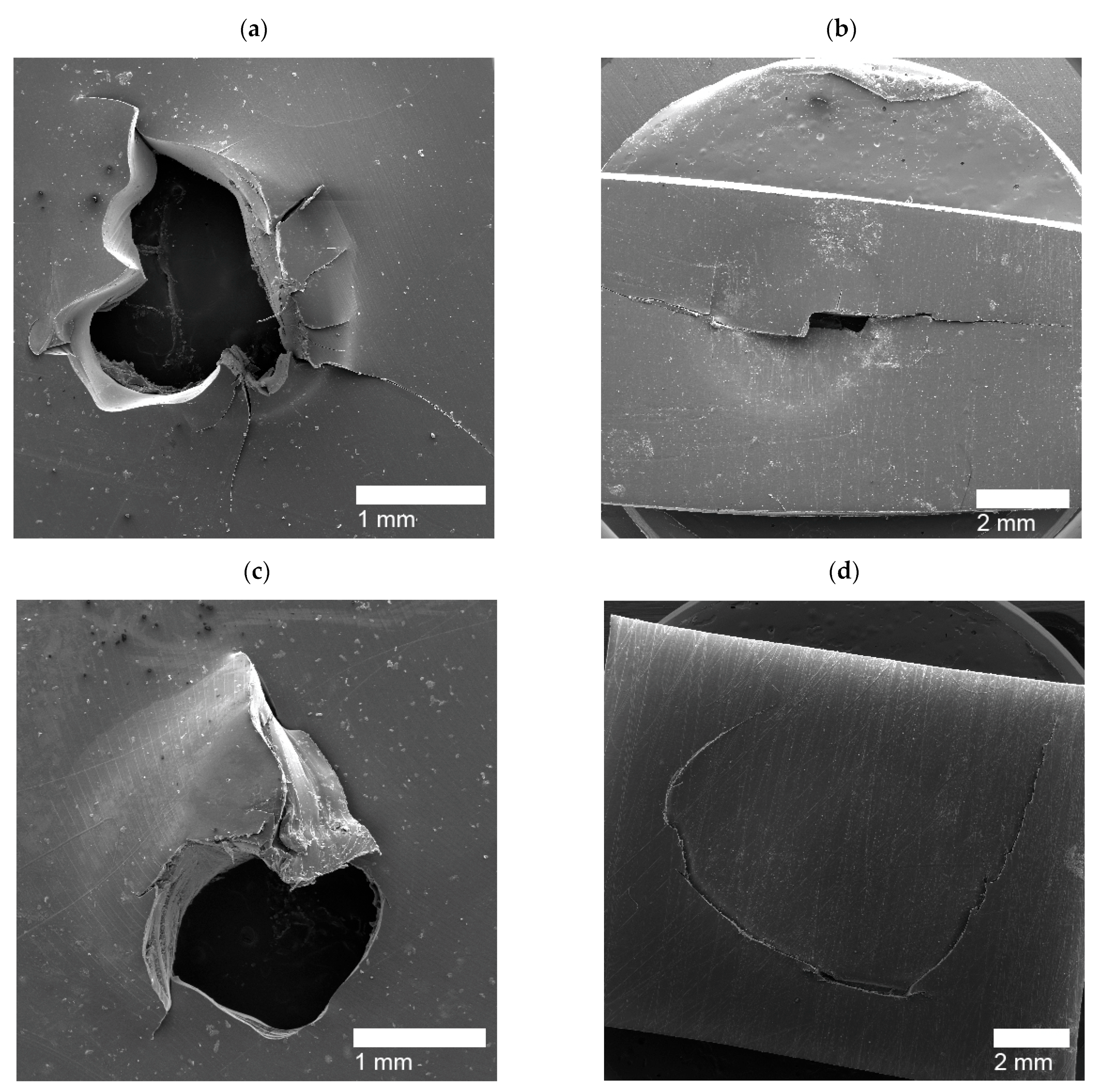 Polymers 14 03575 g013
