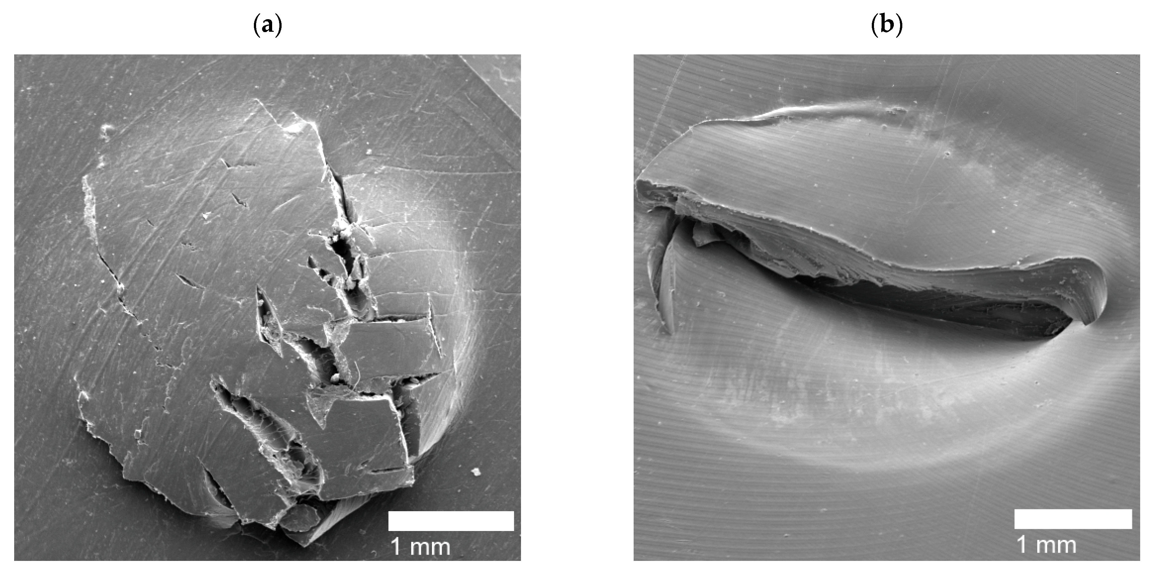 Polymers 14 03575 g014a