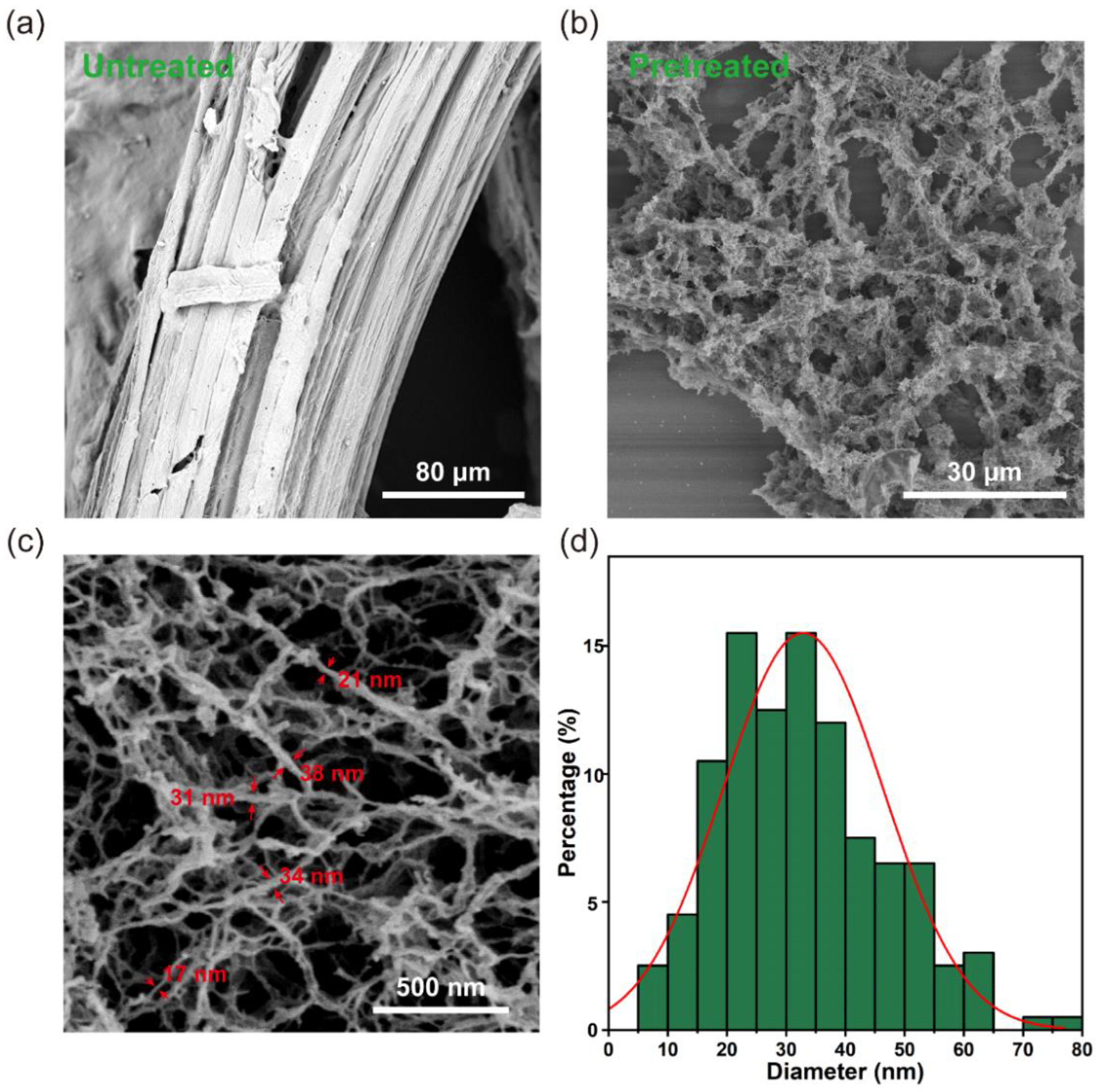 Polymers 14 03587 g003