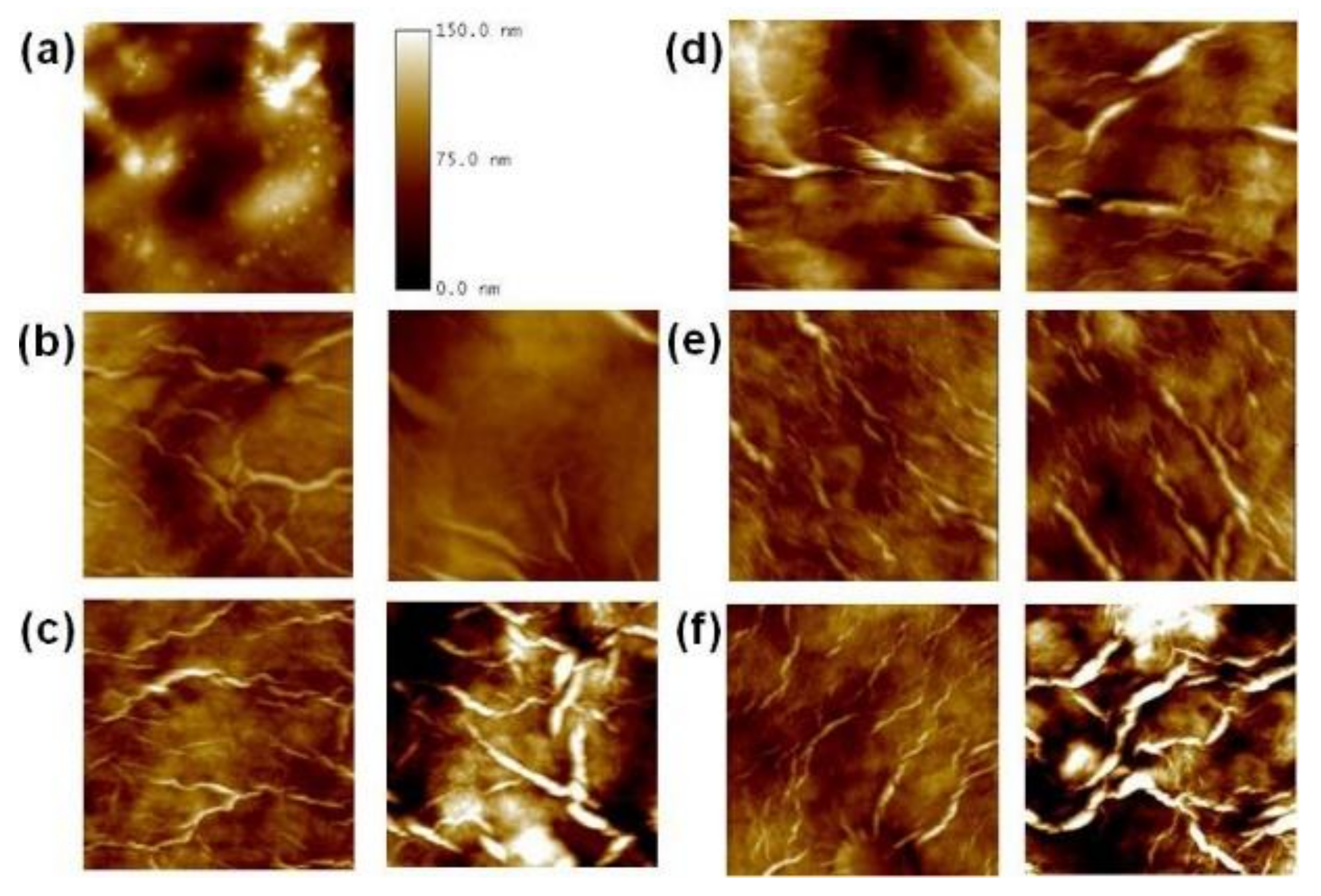 Polymers 14 03624 g006