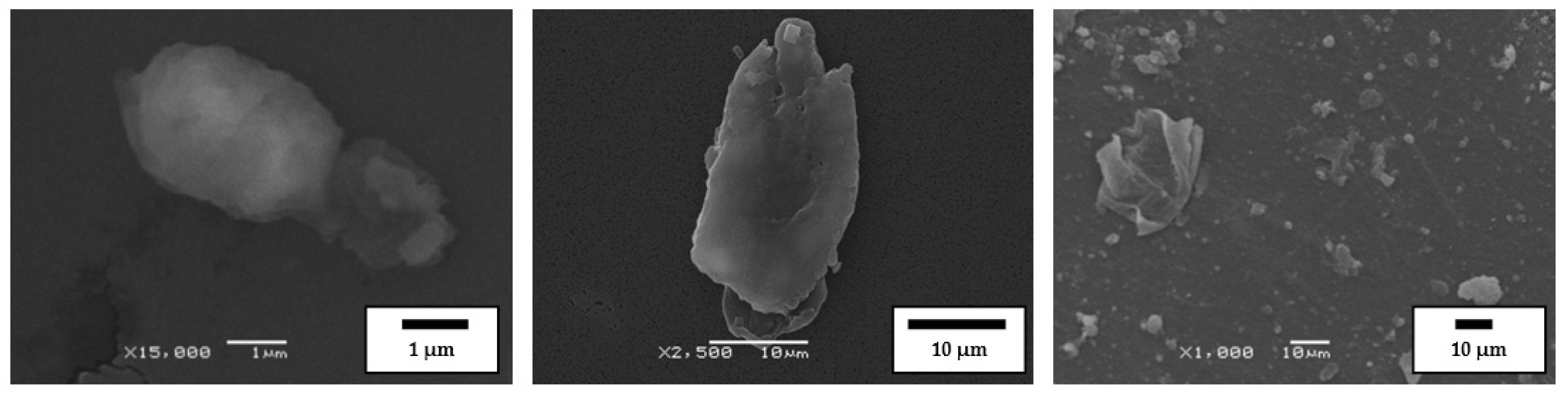 Polymers 14 03627 g005