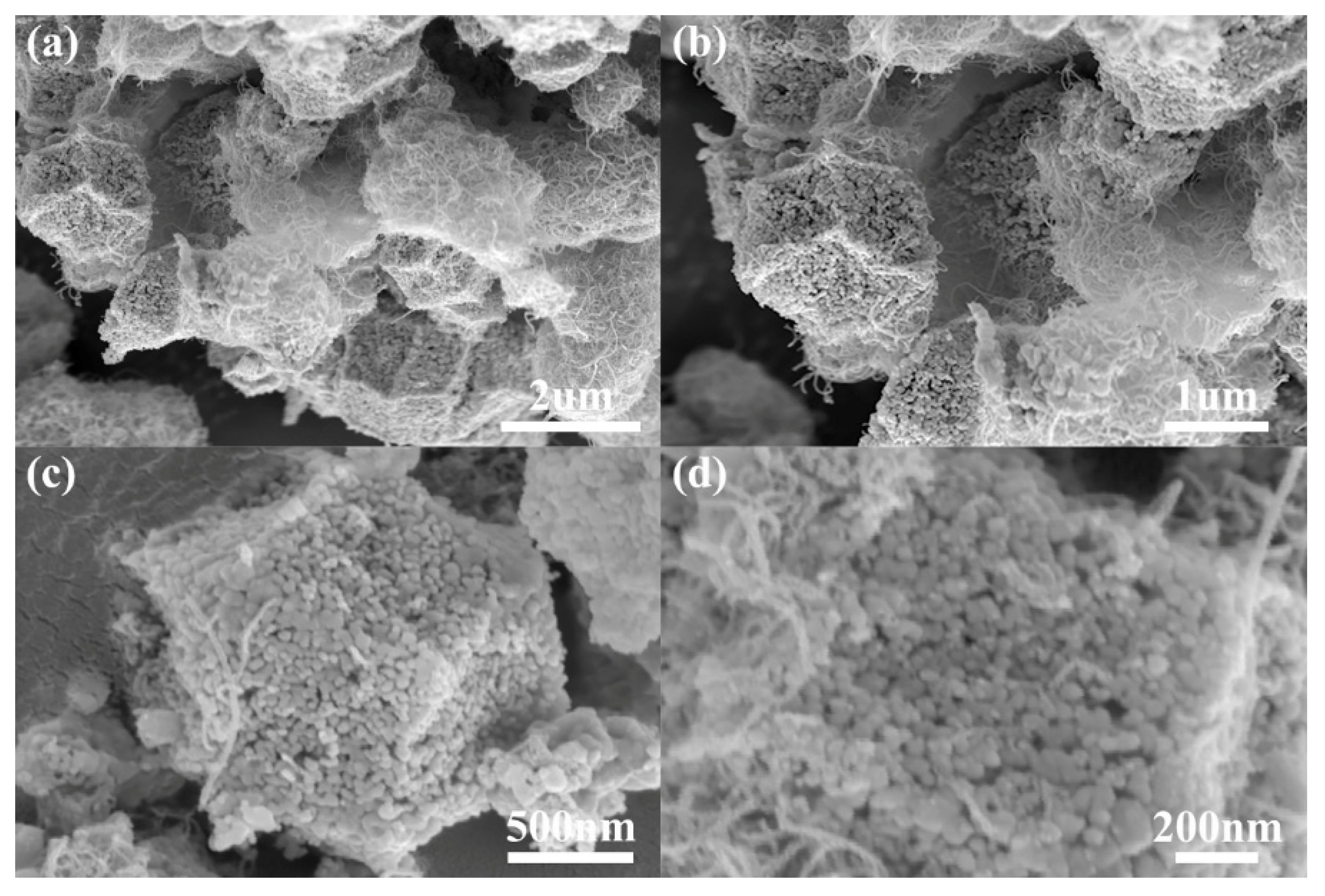 Polymers | Free Full-Text | Bio-Based Rigid Polyurethane Foams Modified ...