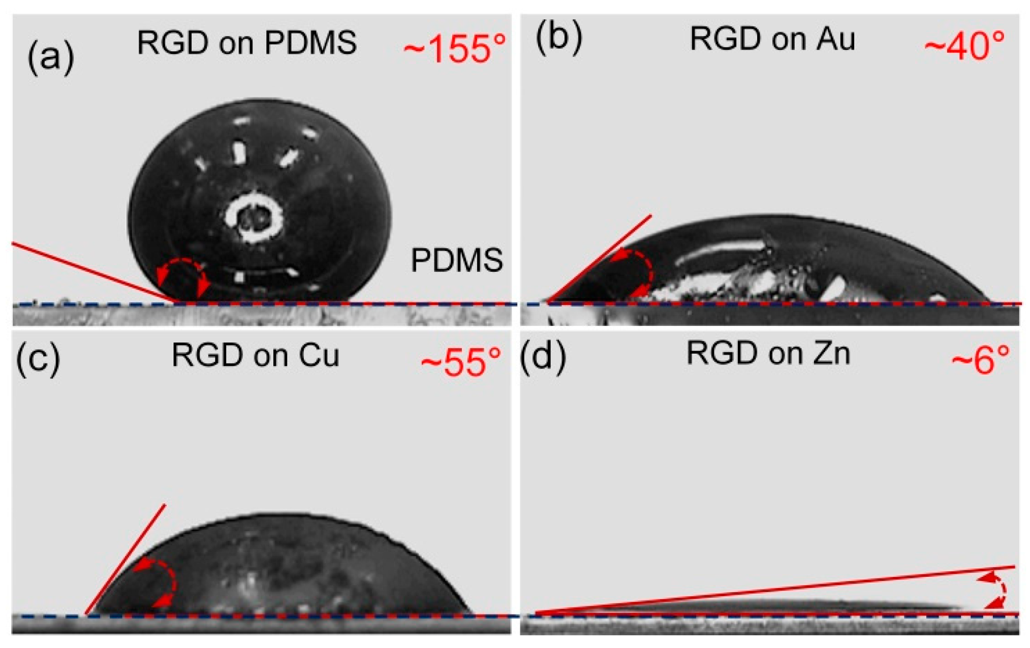 Polymers 14 03633 g003